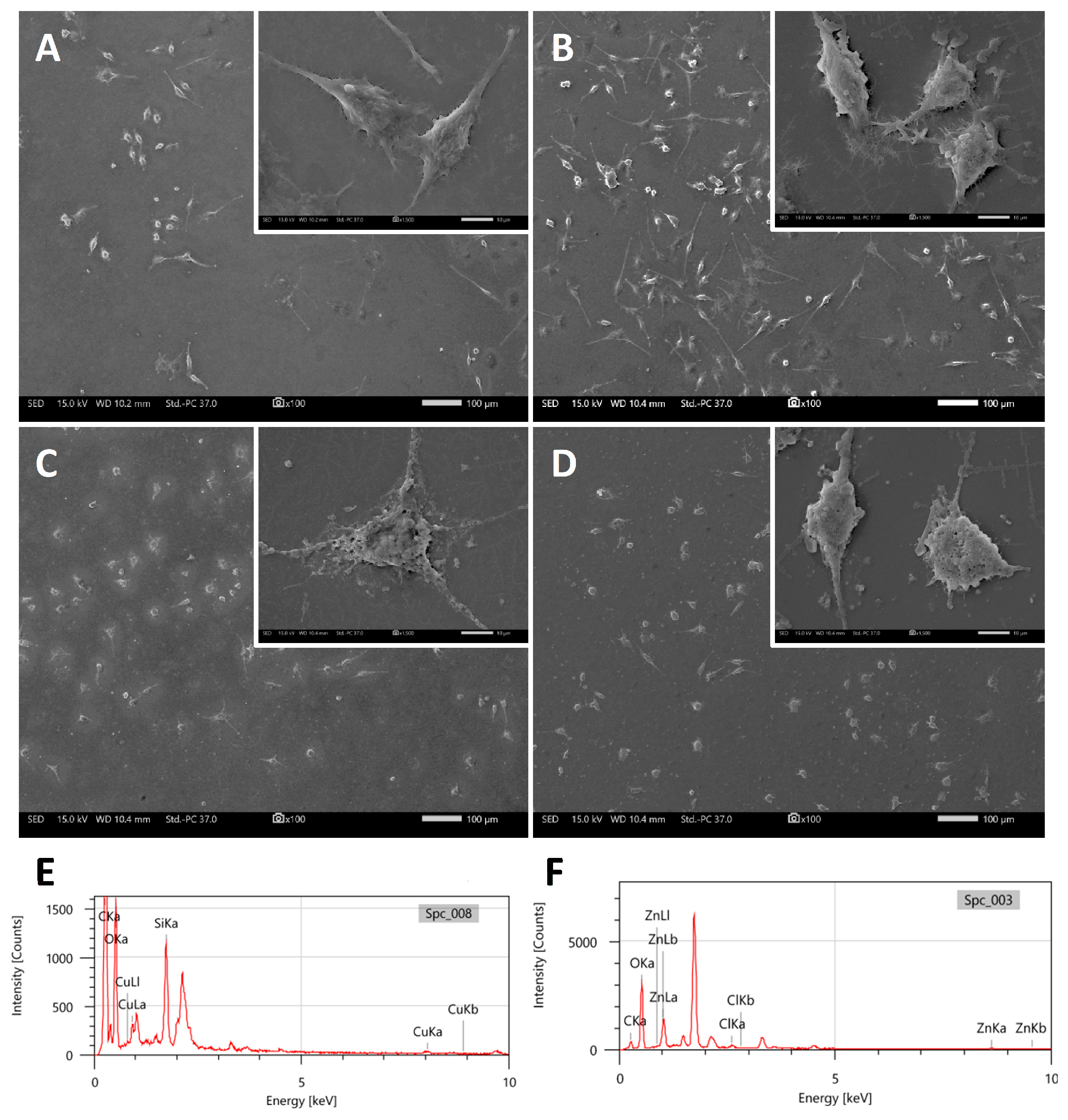 Biomolecules 16 00284 g011