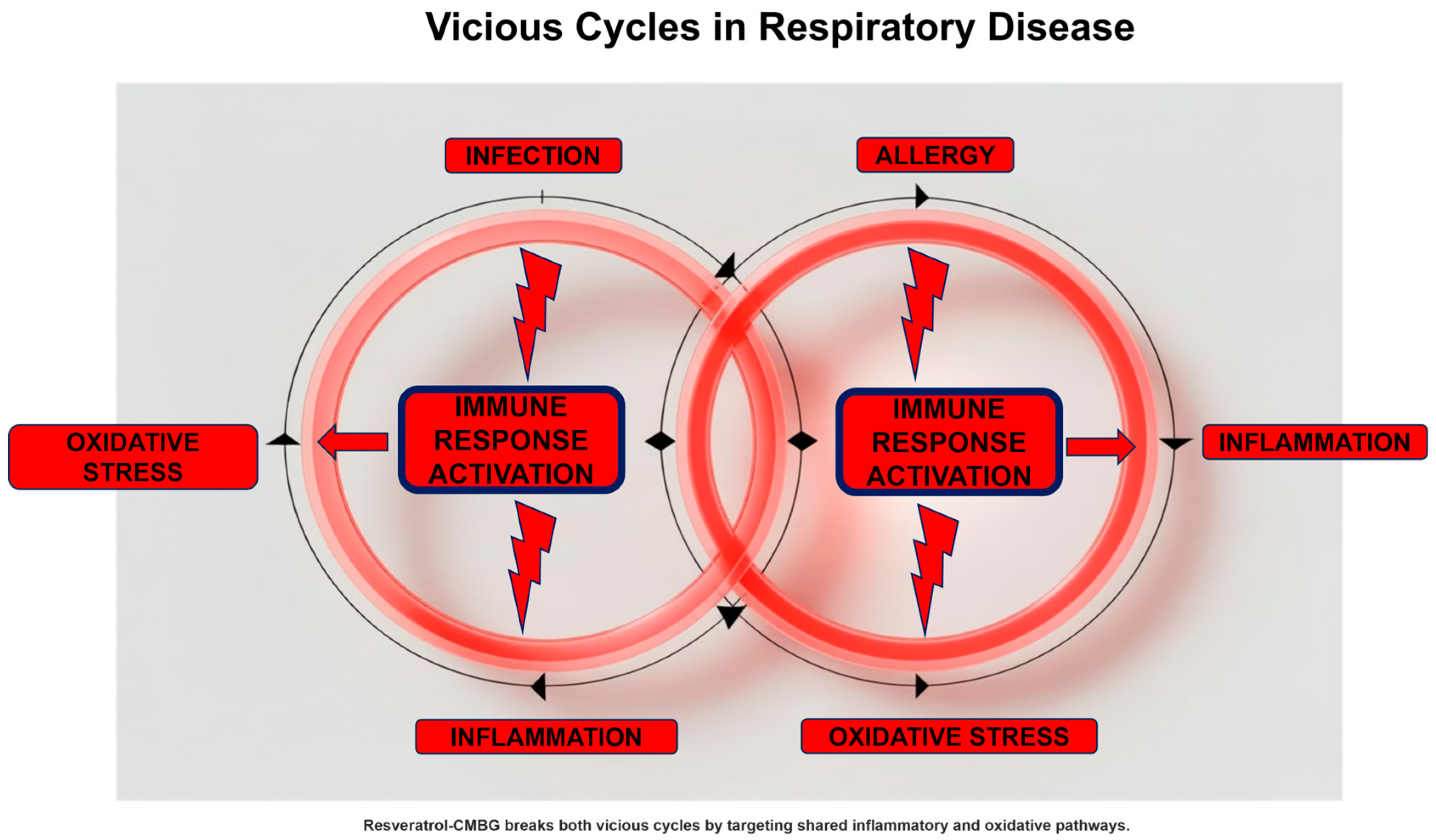 Biomolecules 16 00285 g003