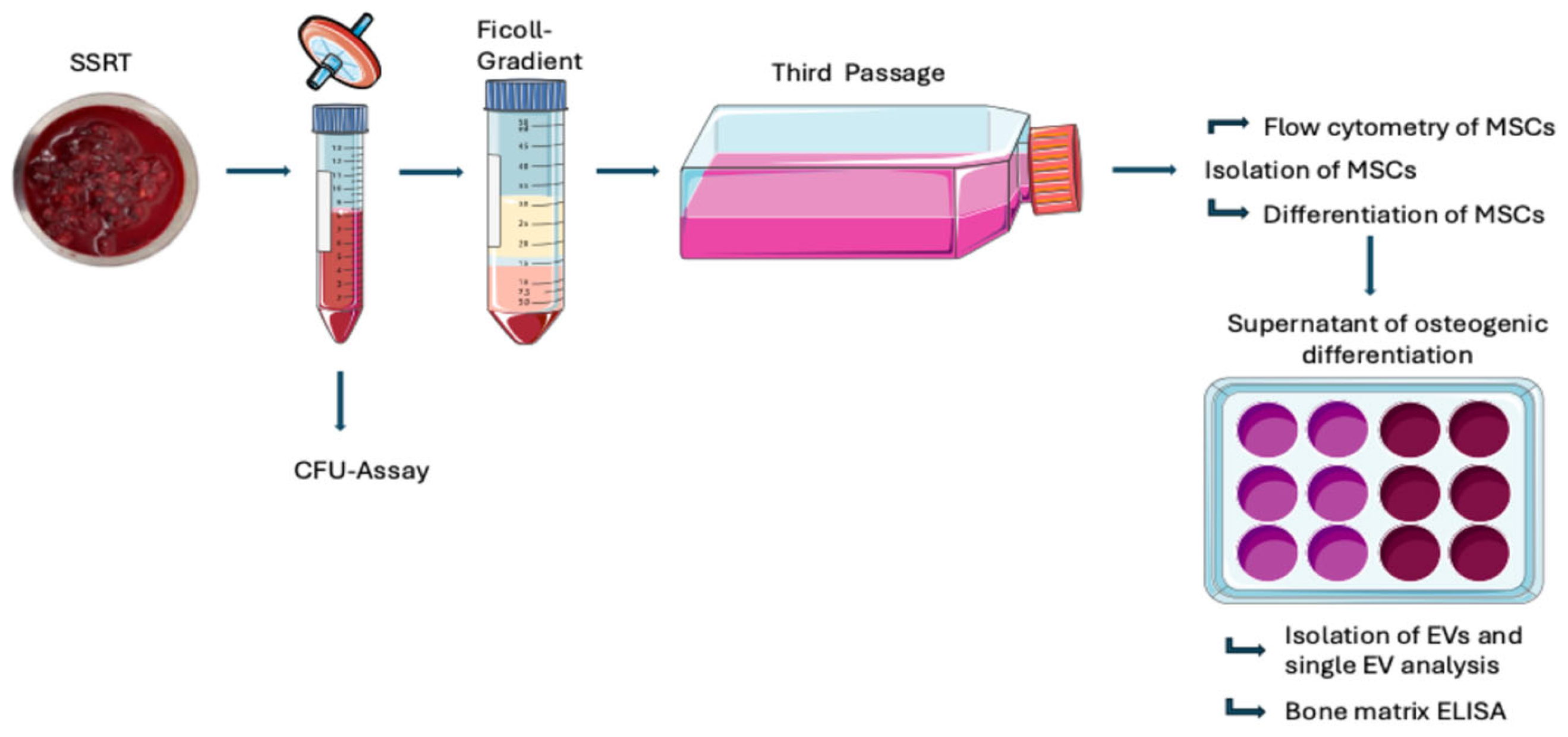Biomolecules 16 00289 g001 Biomolecules 16 00289 g001