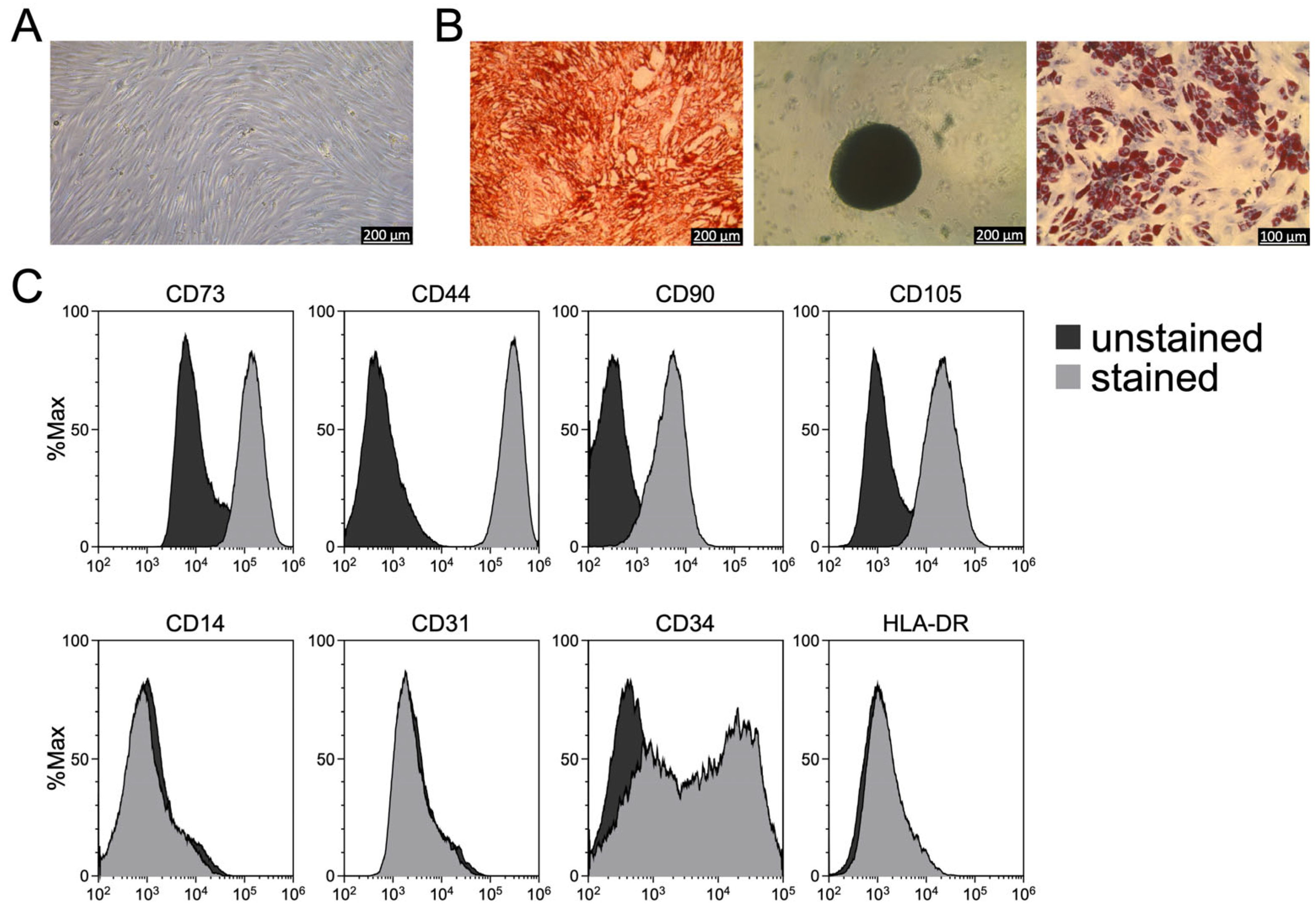 Biomolecules 16 00289 g002 Biomolecules 16 00289 g002