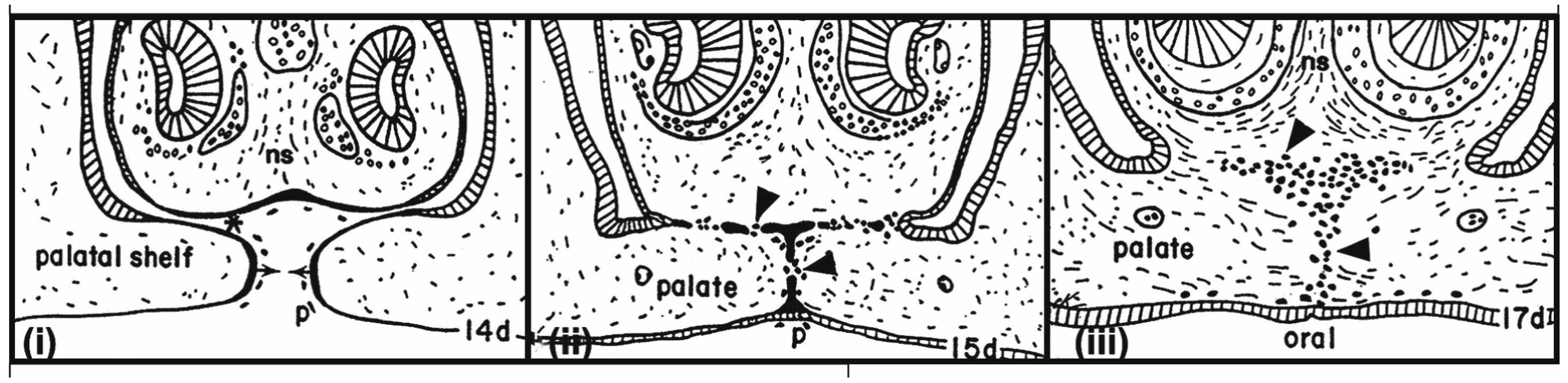 Biomolecules 16 00293 g003