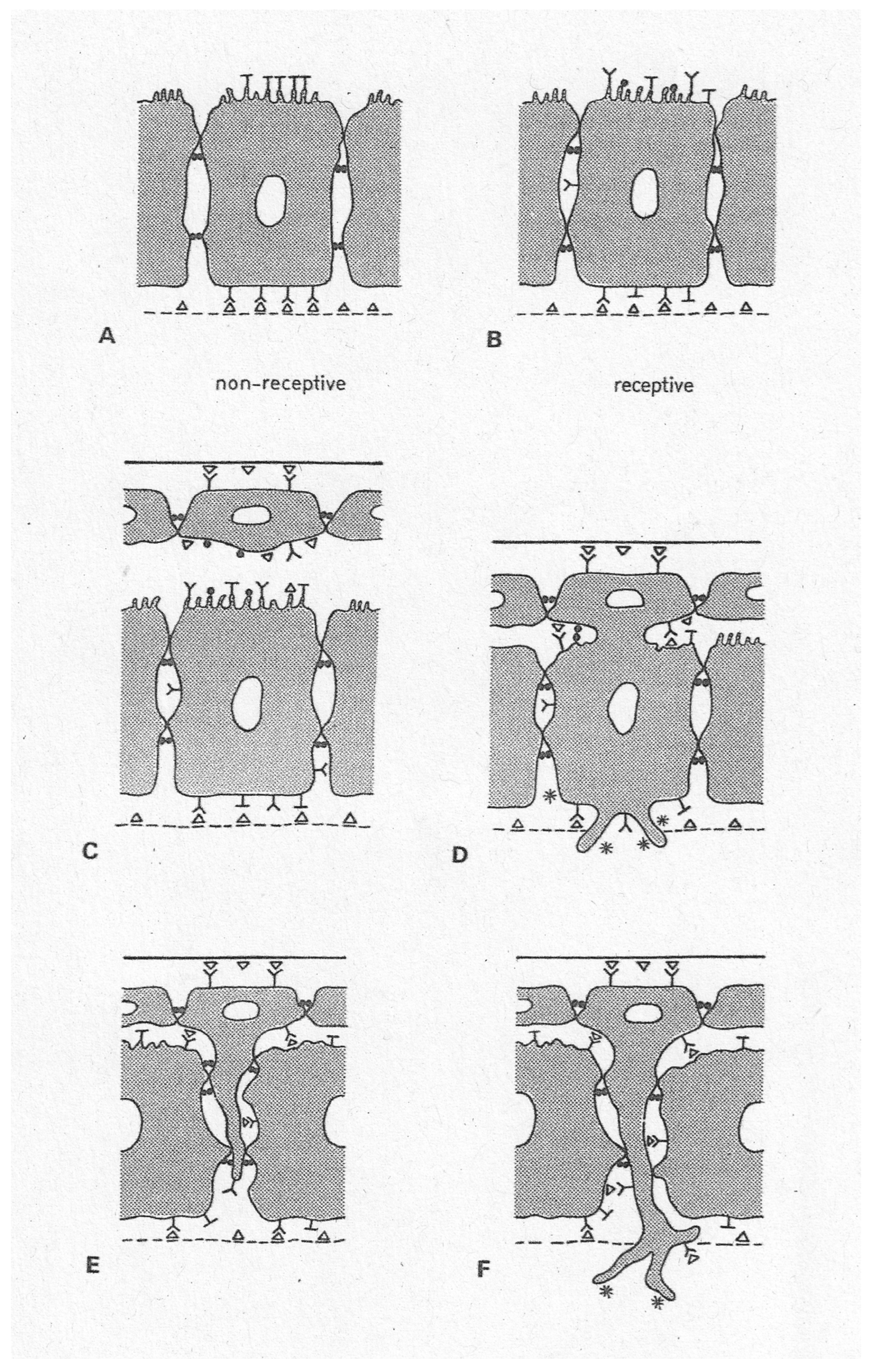 Biomolecules 16 00293 g005
