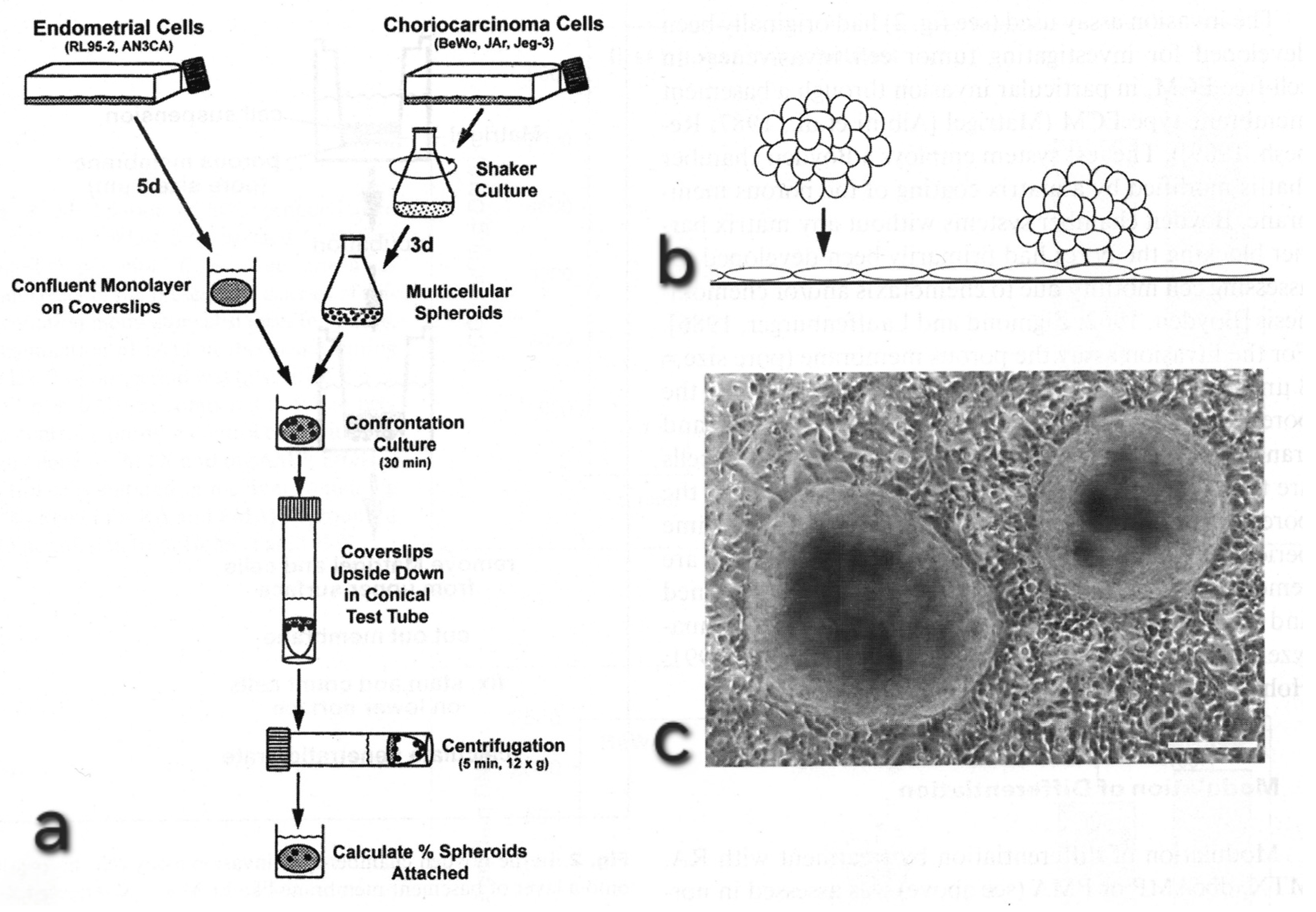 Biomolecules 16 00293 g006
