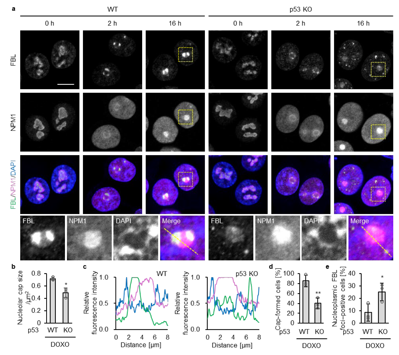 Biomolecules 16 00296 g001