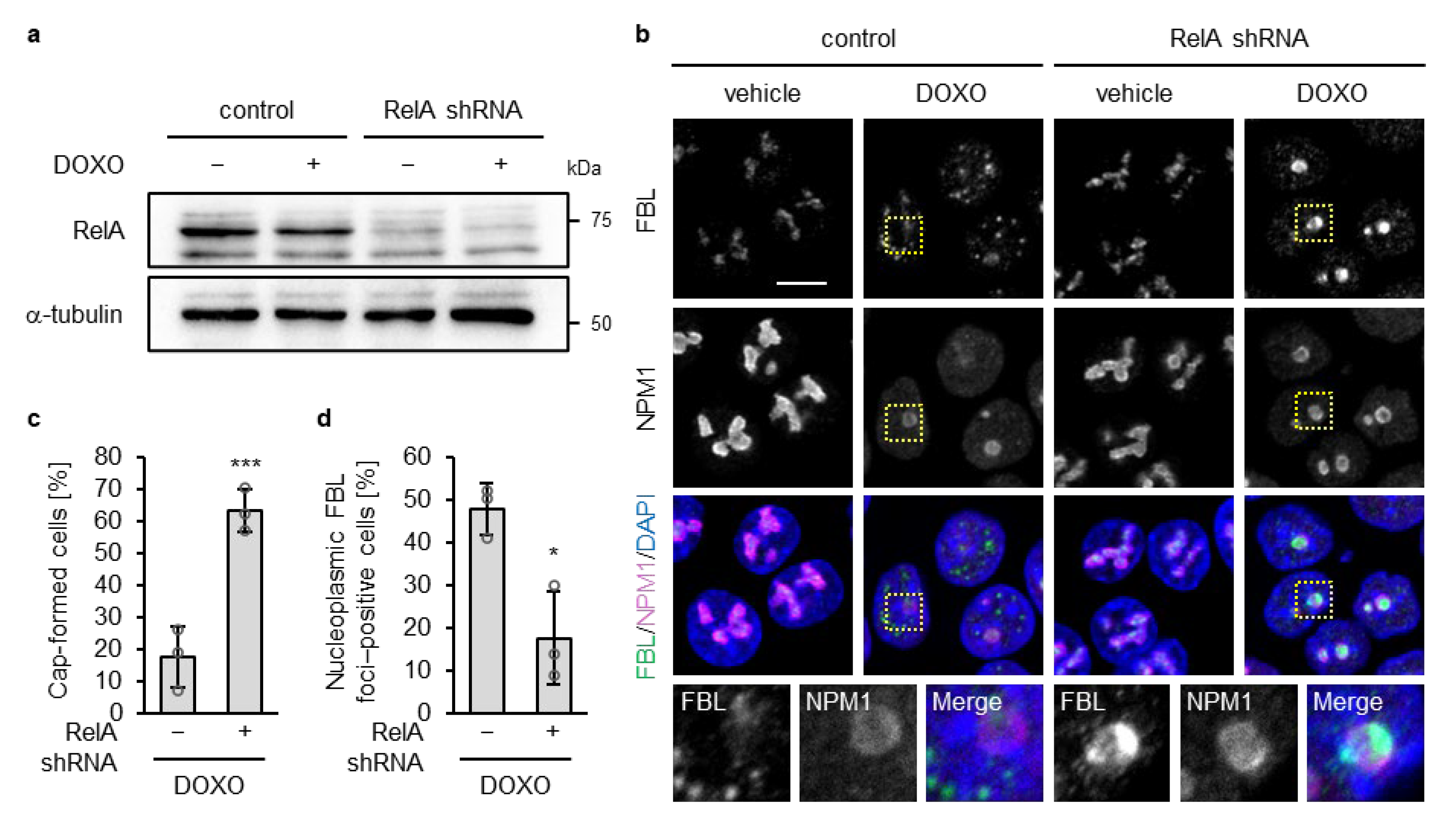 Biomolecules 16 00296 g002