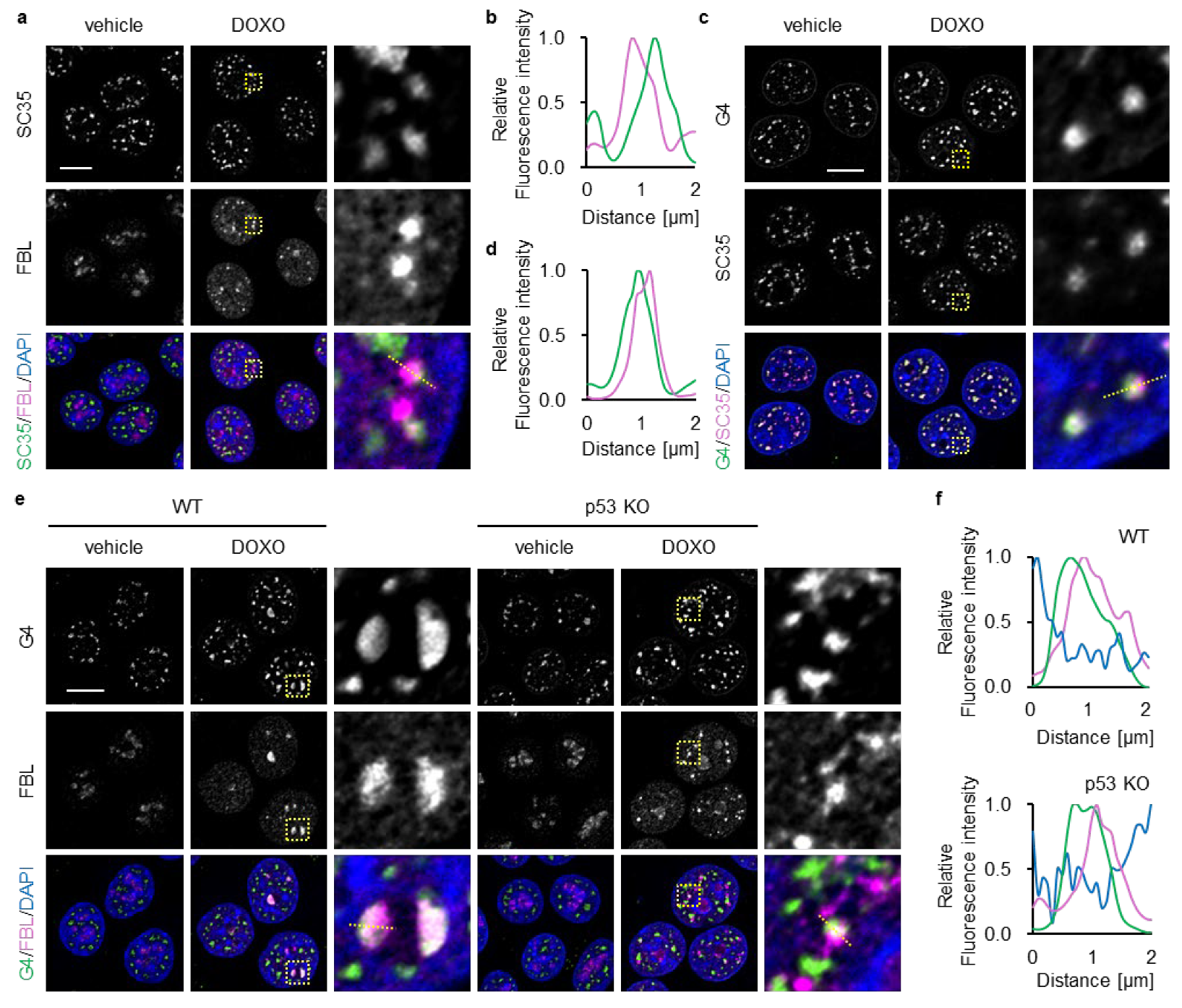 Biomolecules 16 00296 g004