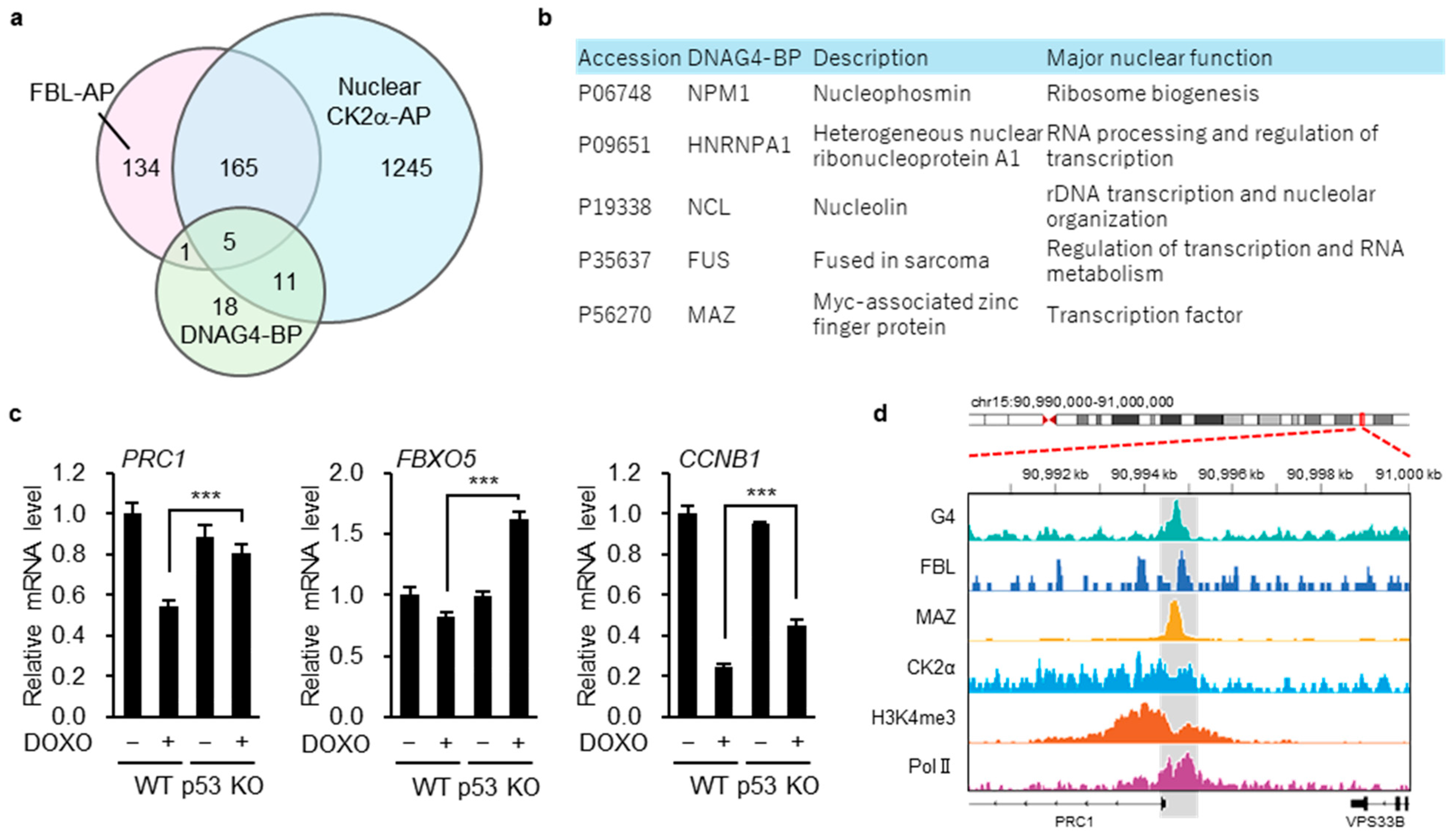 Biomolecules 16 00296 g006