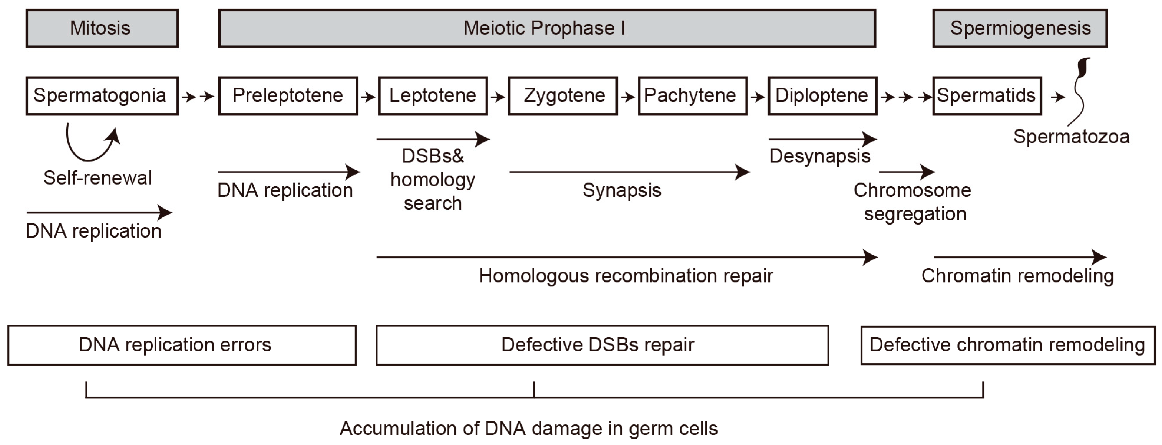 Biomolecules 16 00299 g003 Biomolecules 16 00299 g003