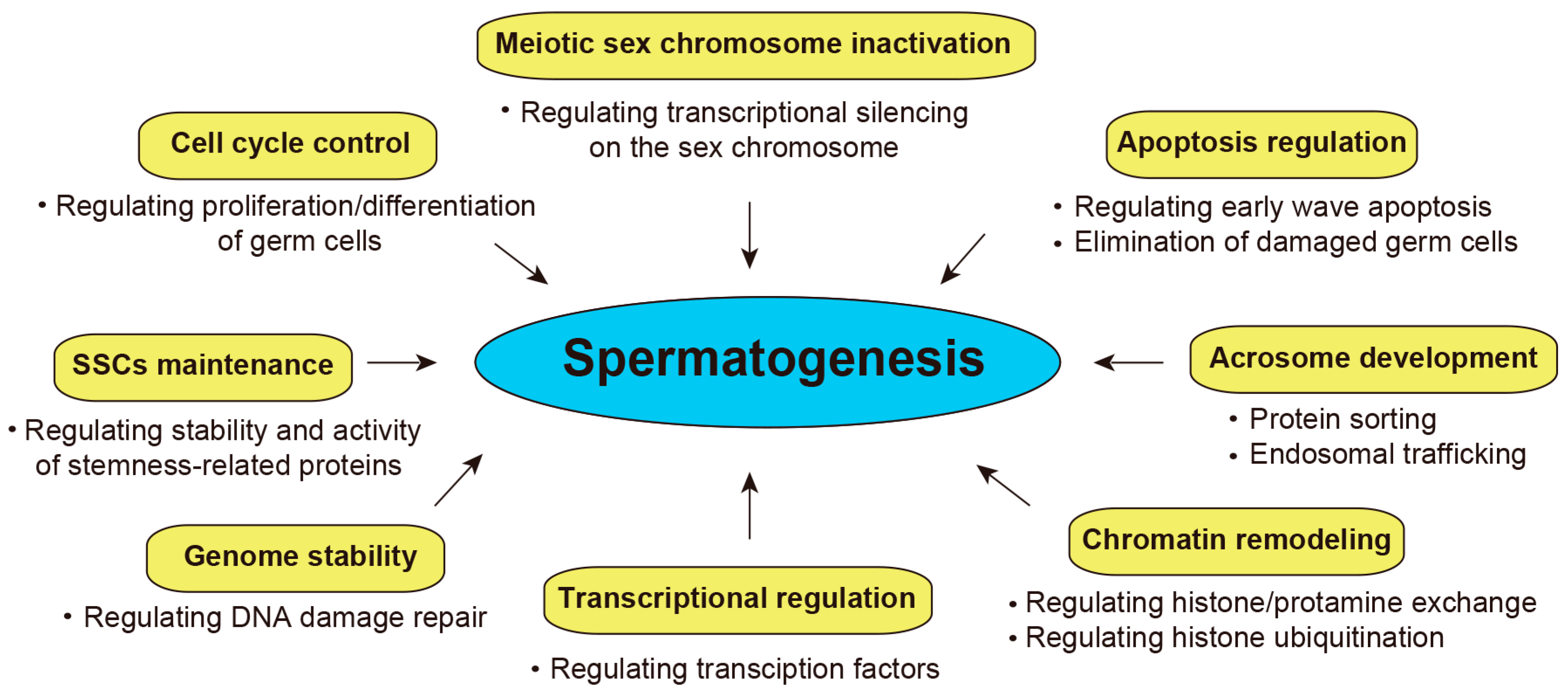 Biomolecules 16 00299 g004 Biomolecules 16 00299 g004