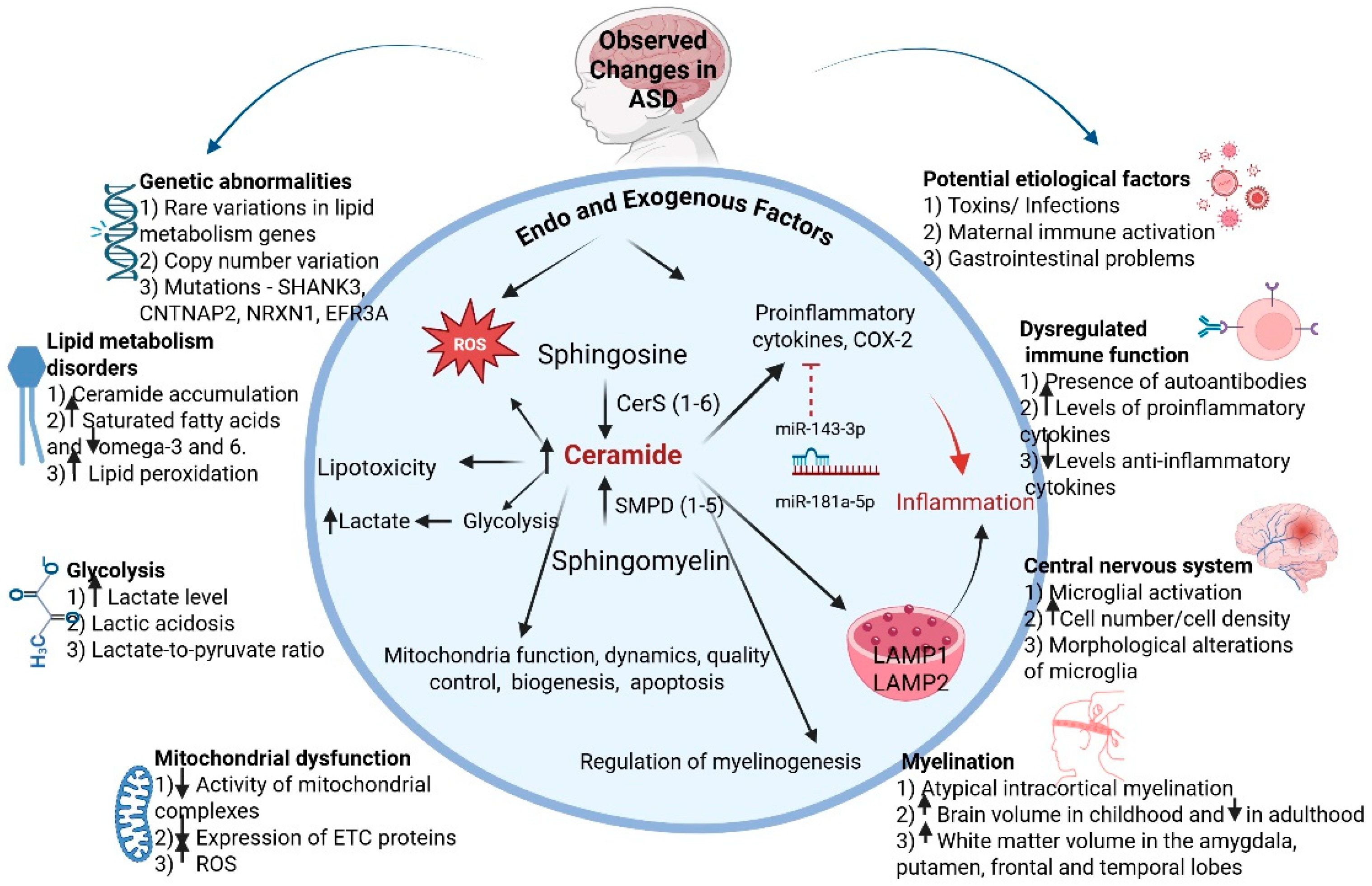 Biomolecules 16 00303 g001 Biomolecules 16 00303 g001