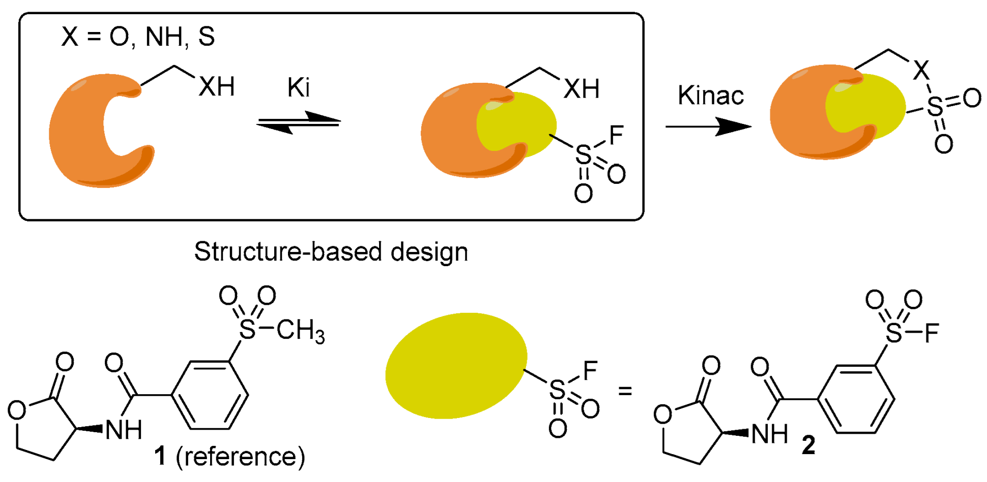 Biomolecules 16 00305 g001 Biomolecules 16 00305 g001