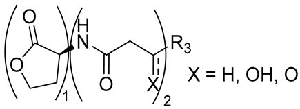 Biomolecules 16 00305 i001 Biomolecules 16 00305 i001