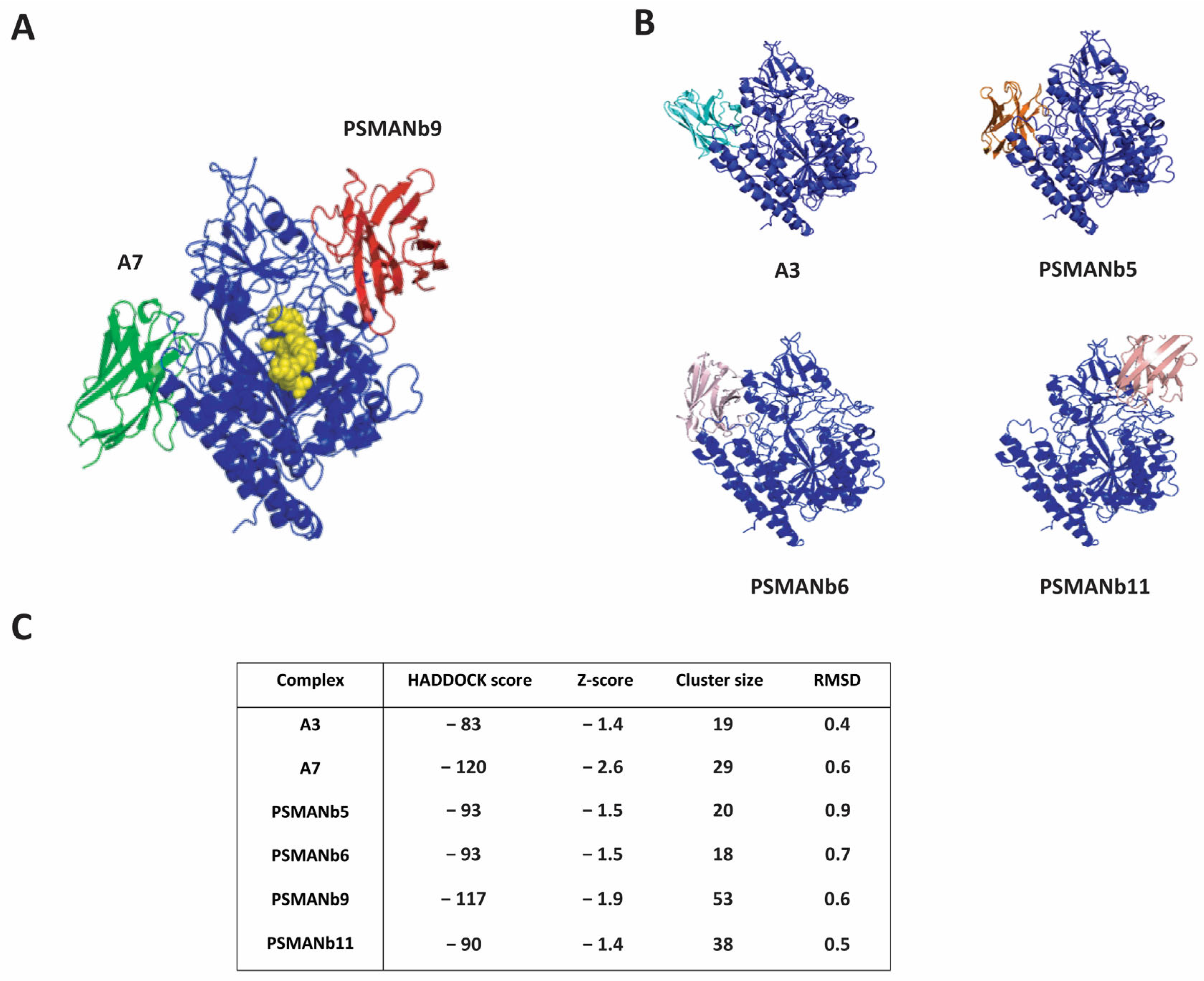 Biomolecules 16 00307 g005 Biomolecules 16 00307 g005