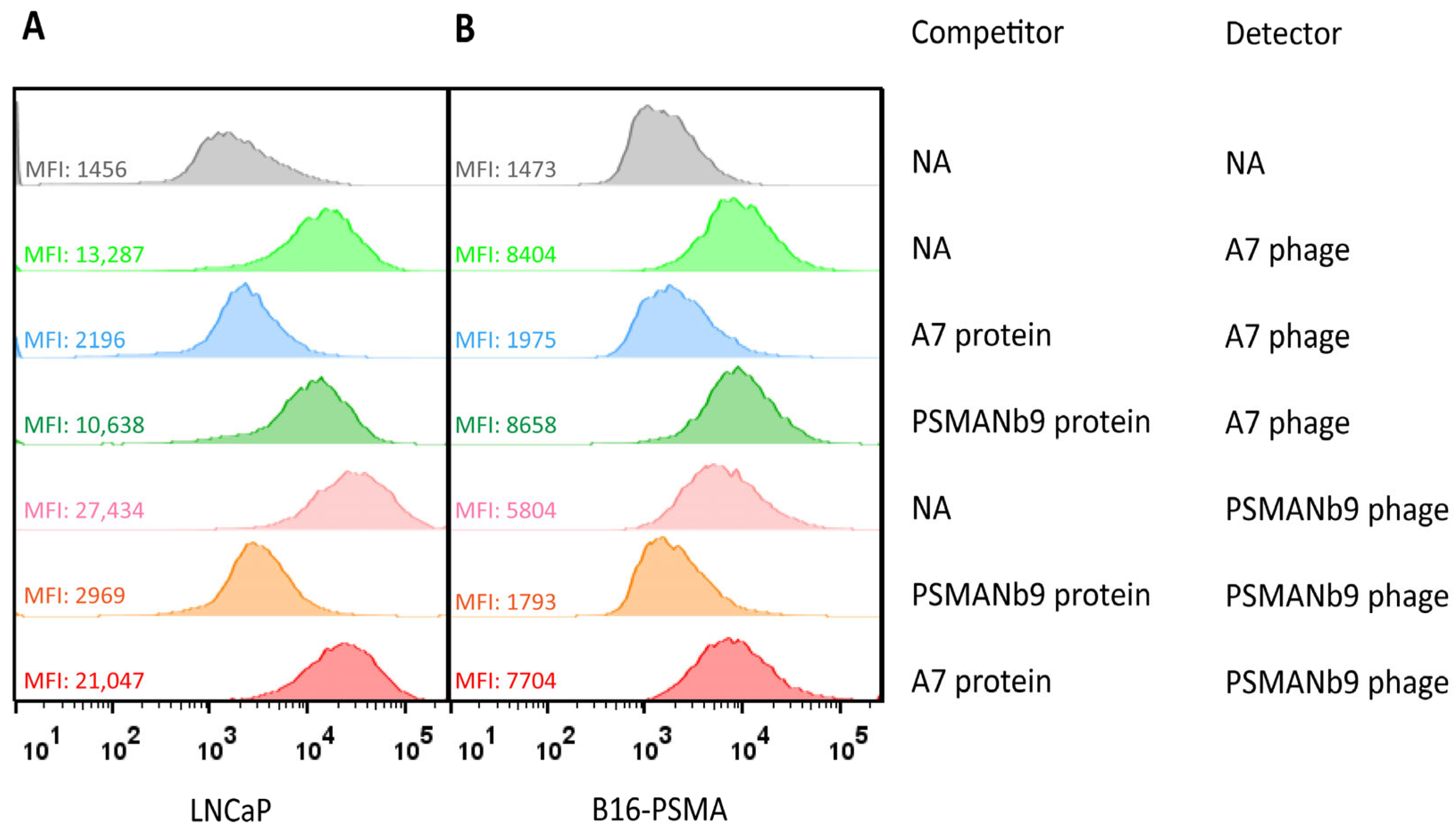 Biomolecules 16 00307 g006 Biomolecules 16 00307 g006