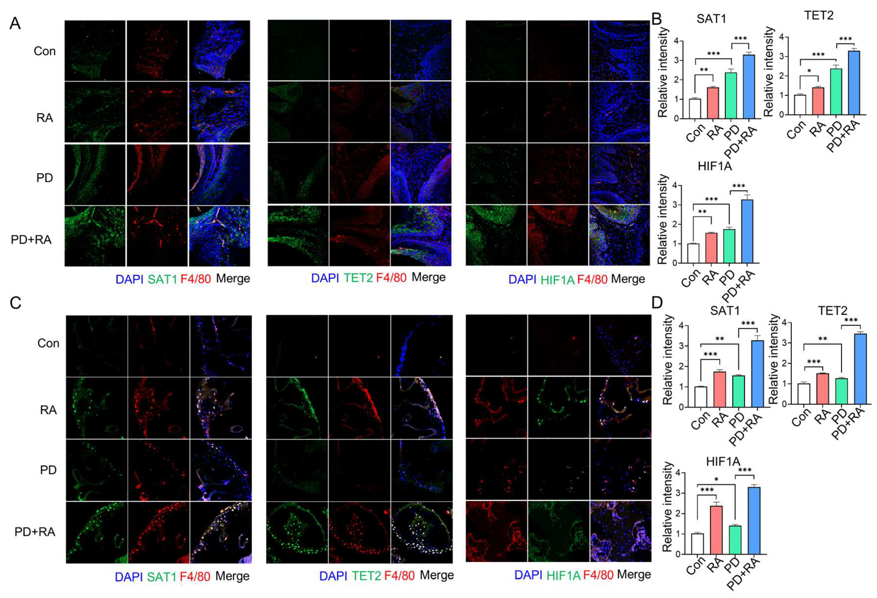 Biomolecules 16 00308 g006 Biomolecules 16 00308 g006