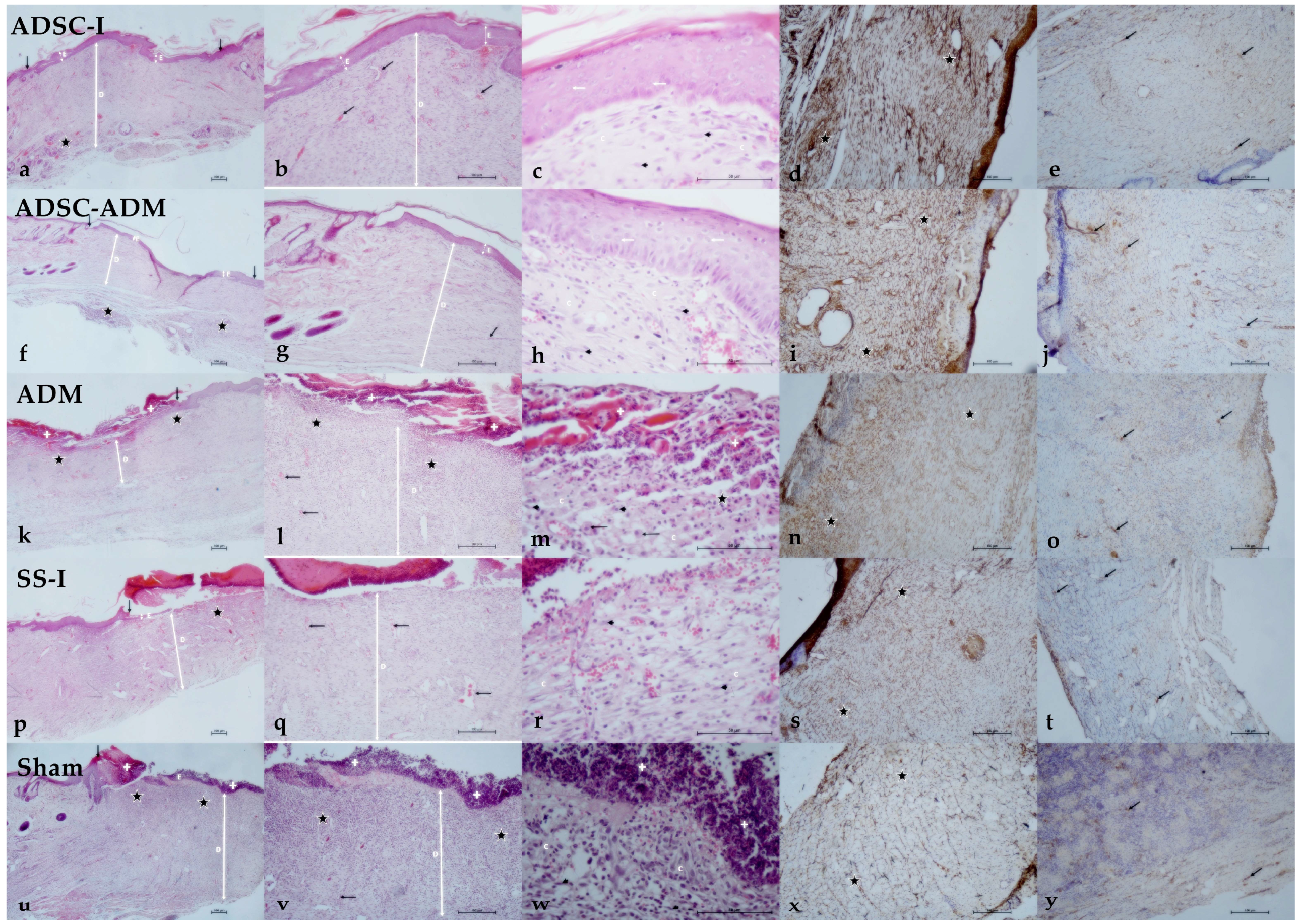 Biomolecules 16 00320 g003