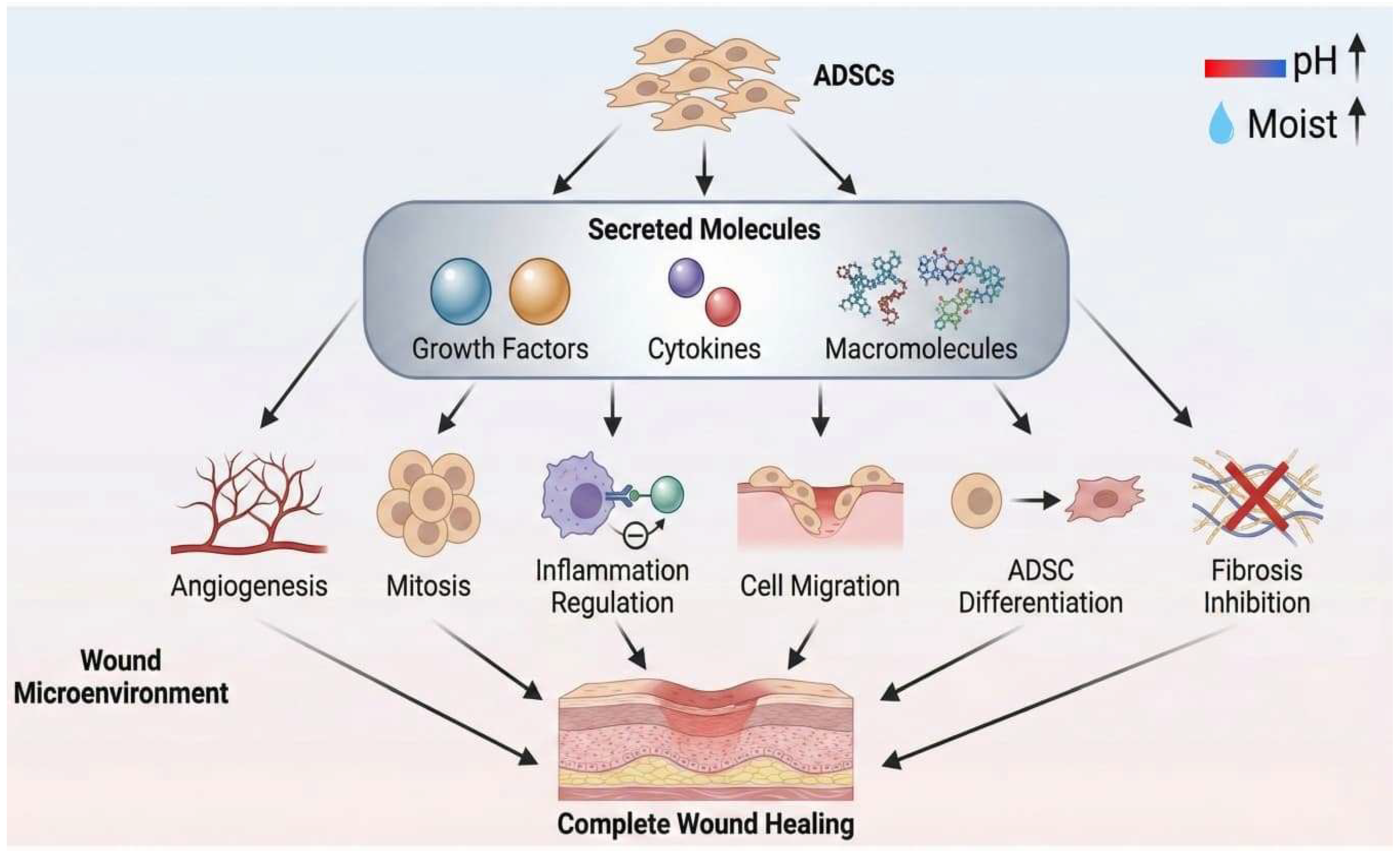Biomolecules 16 00320 g006