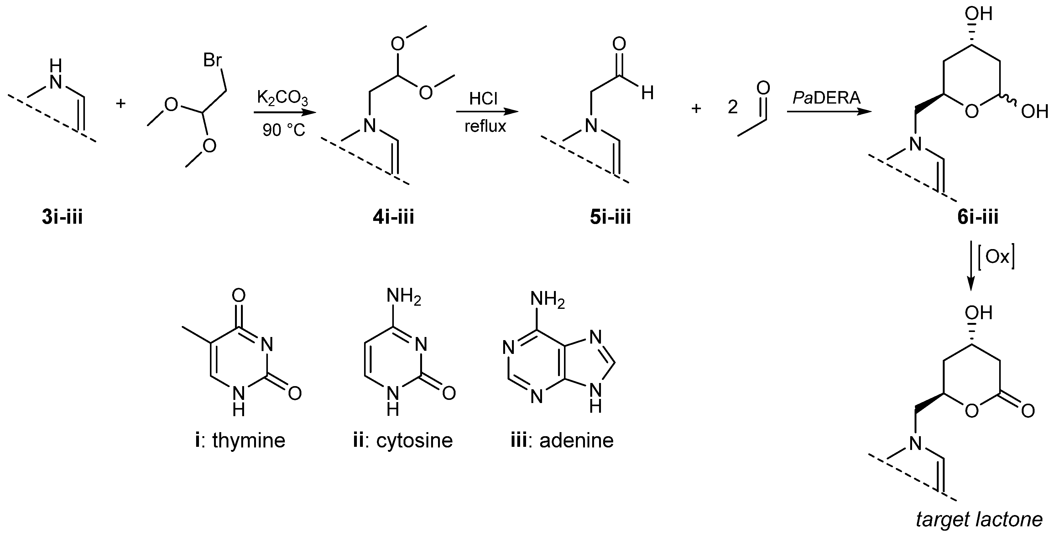 Biomolecules 16 00321 sch002