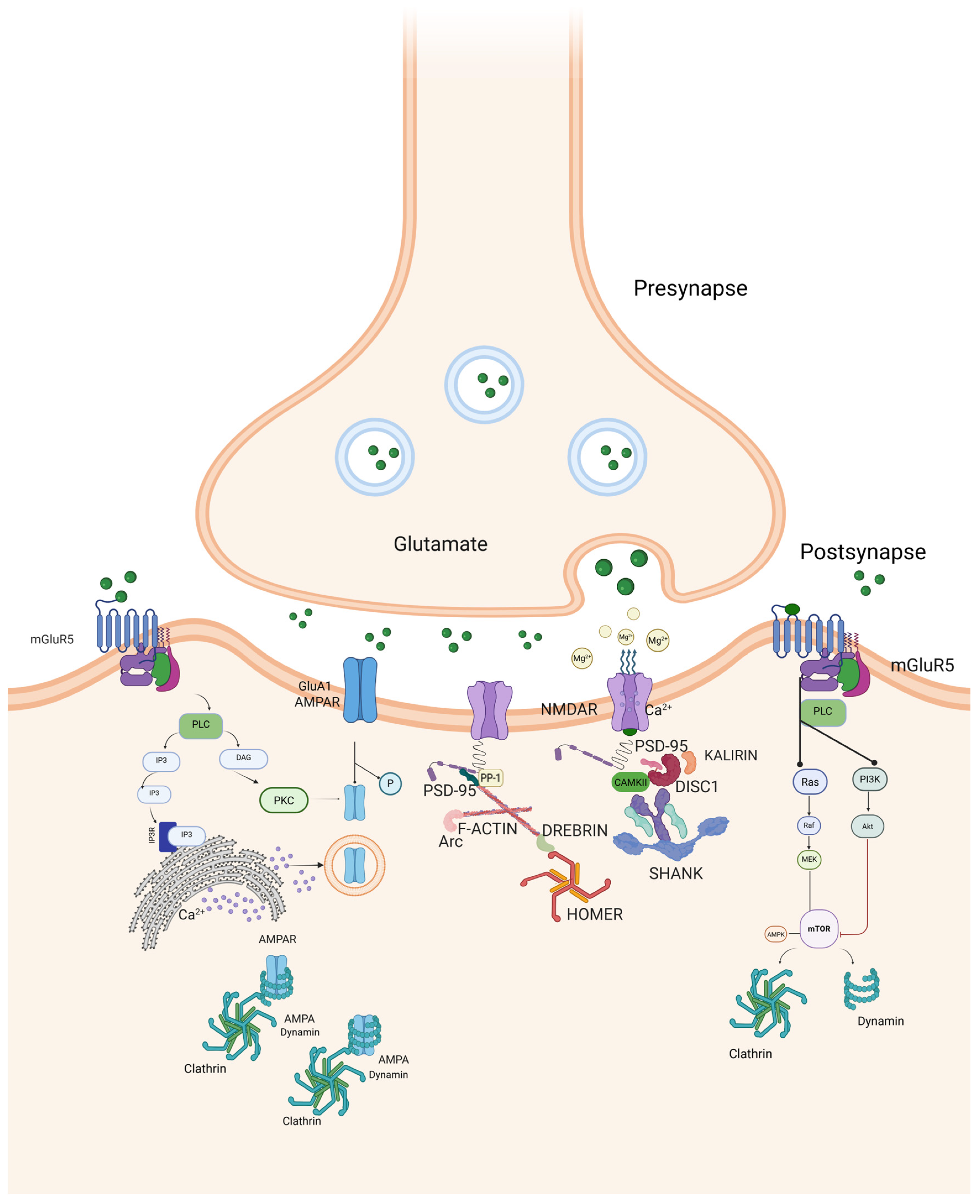 Biomolecules 16 00324 g001 Biomolecules 16 00324 g001