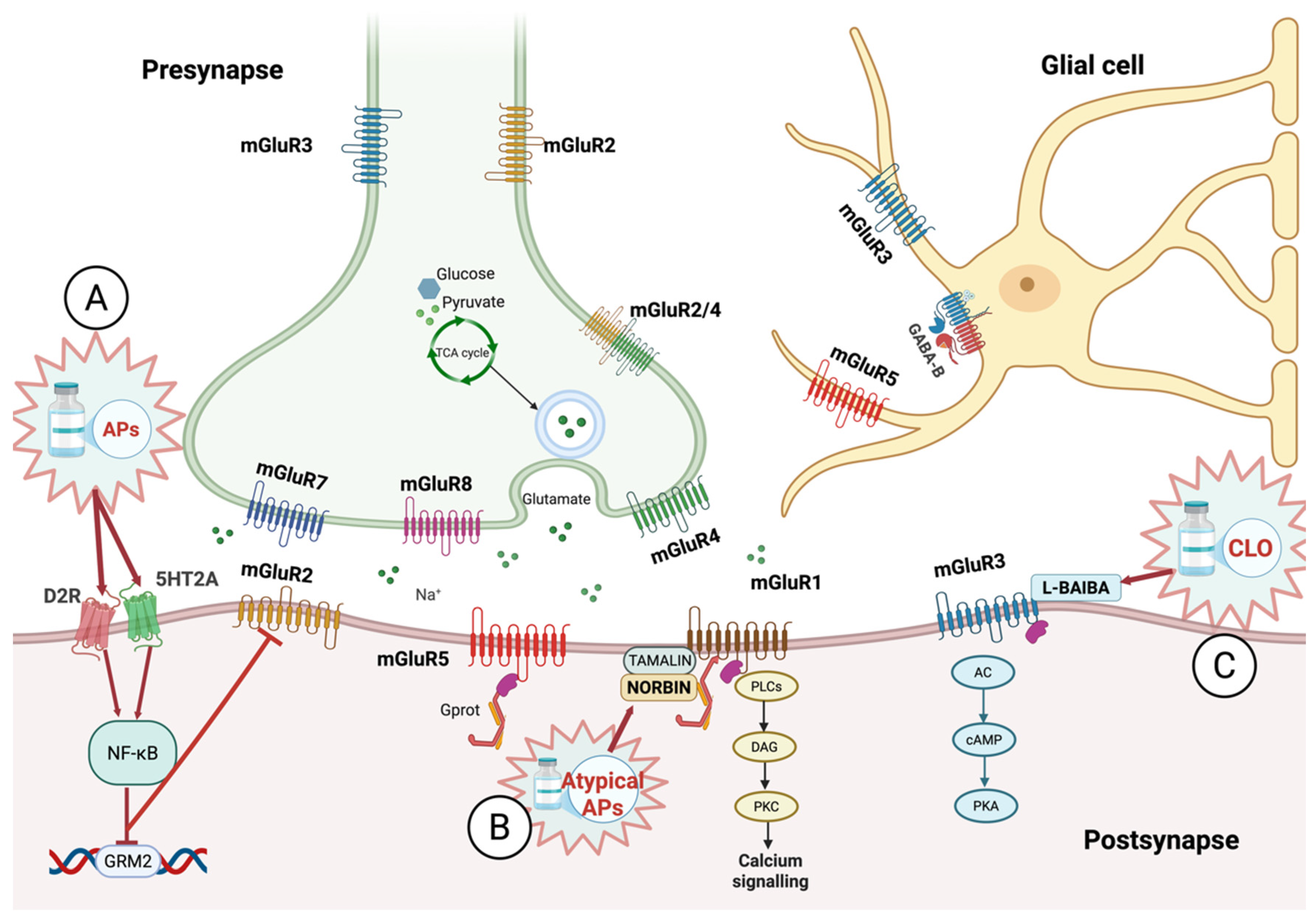 Biomolecules 16 00324 g002 Biomolecules 16 00324 g002