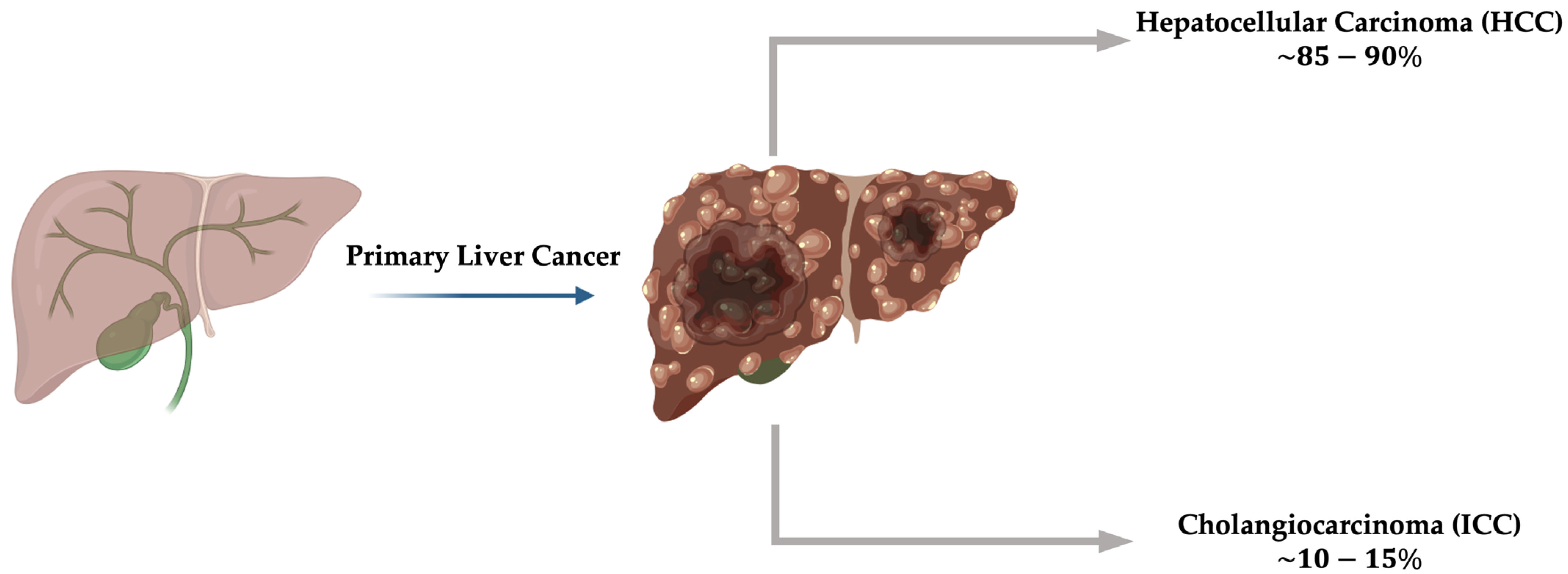 Biomolecules 16 00329 g001