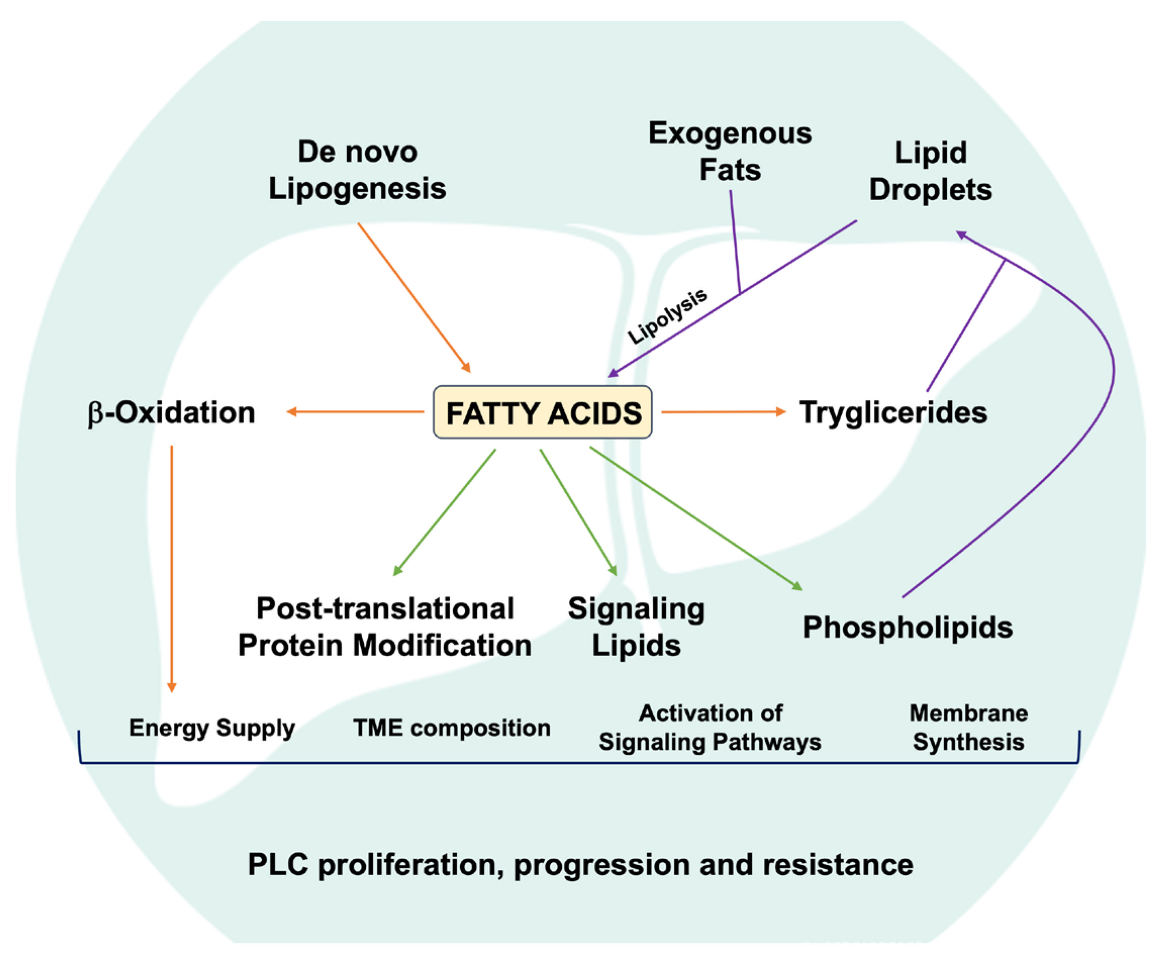 Biomolecules 16 00329 g002