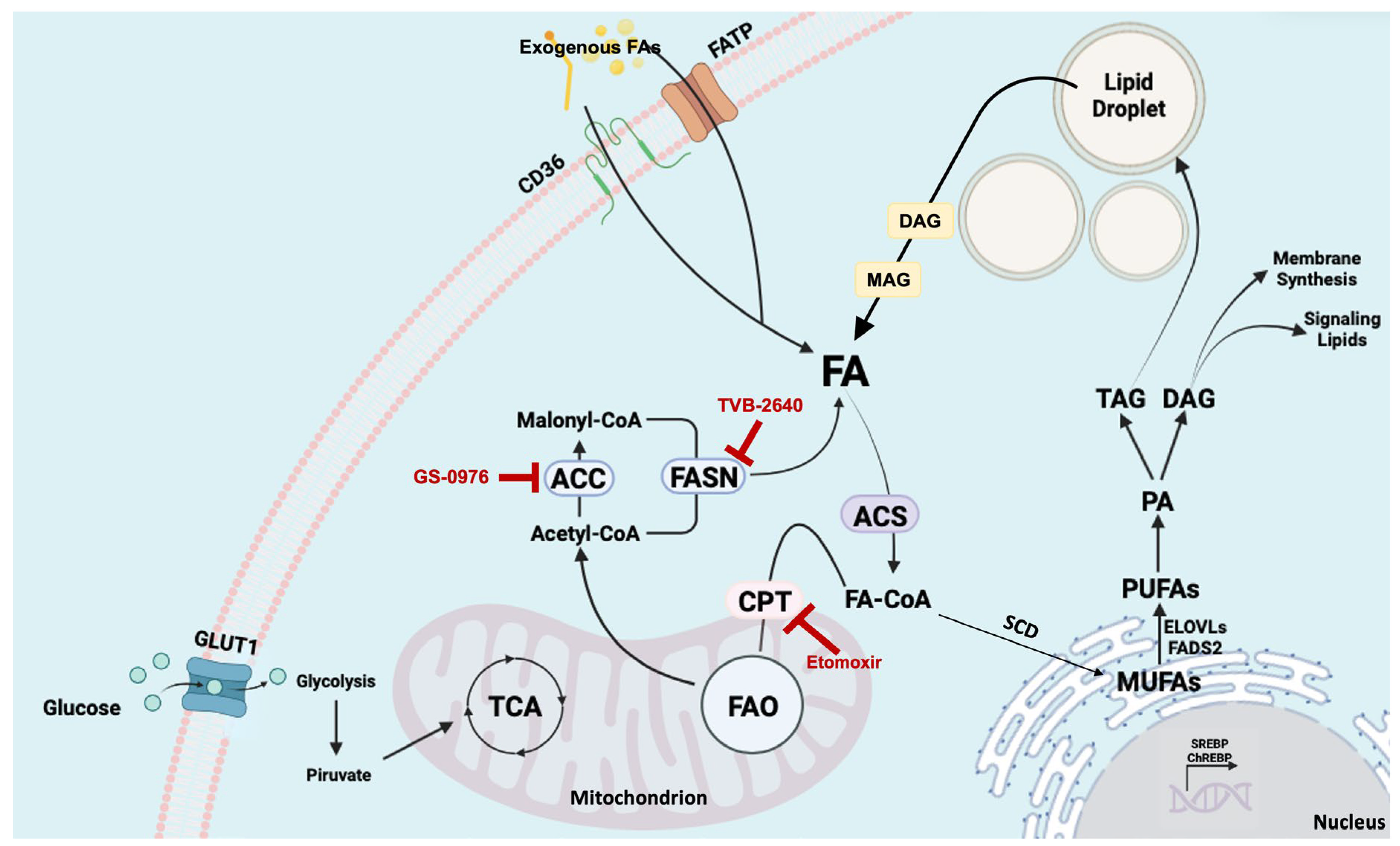 Biomolecules 16 00329 g003
