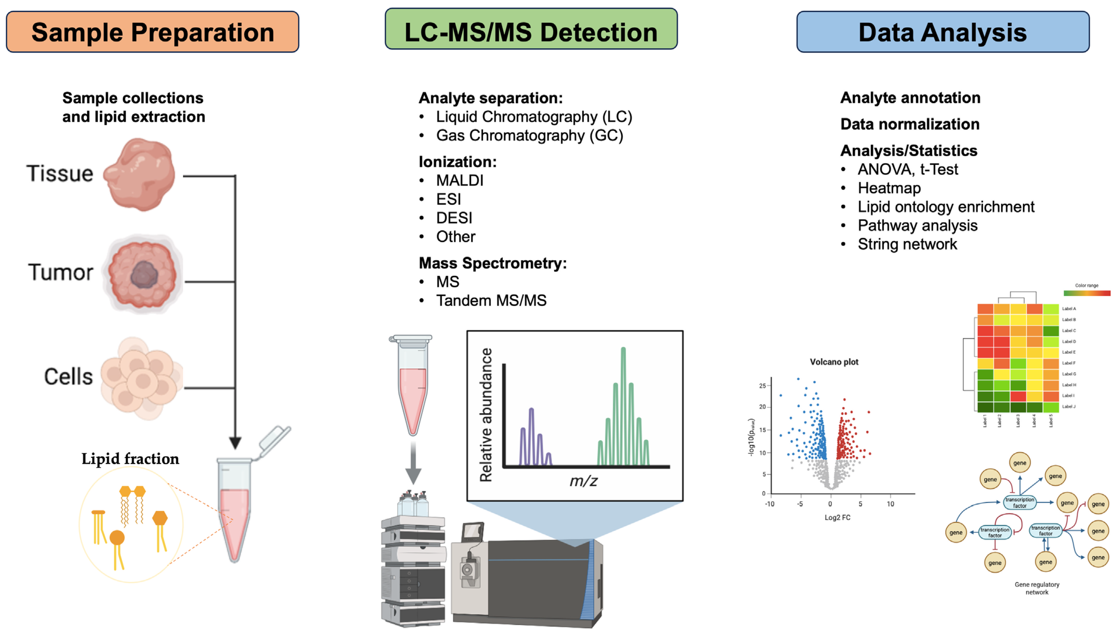 Biomolecules 16 00329 g004