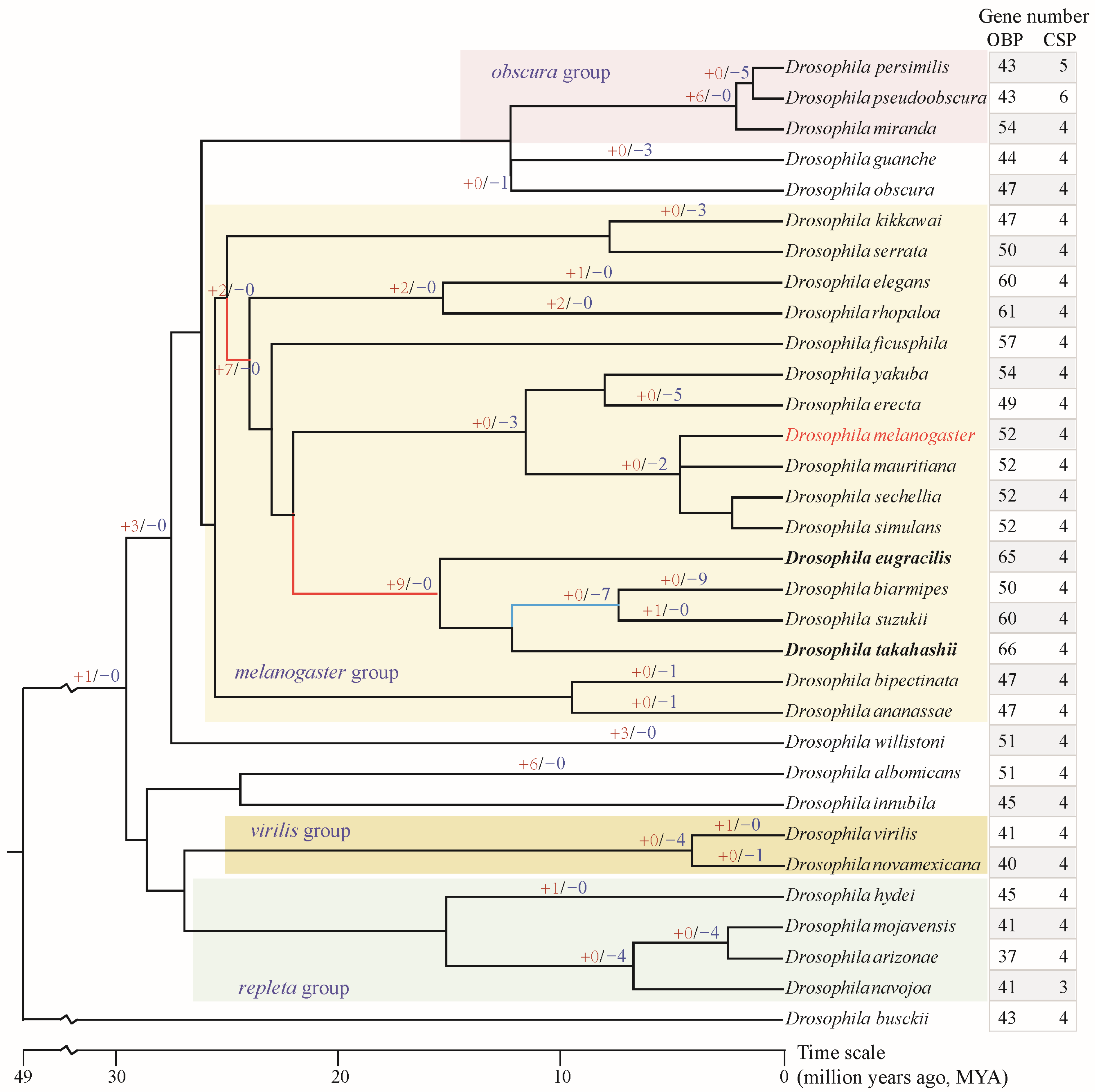 Biomolecules 16 00330 g001