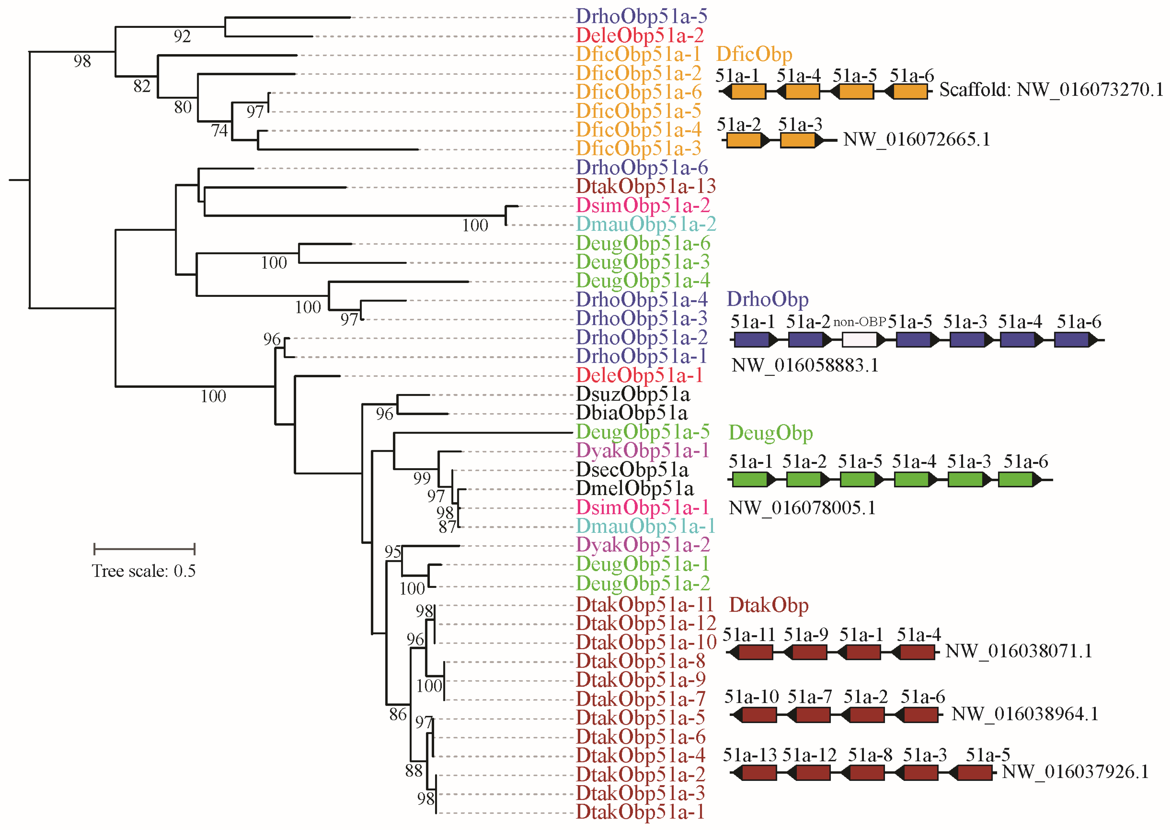 Biomolecules 16 00330 g004