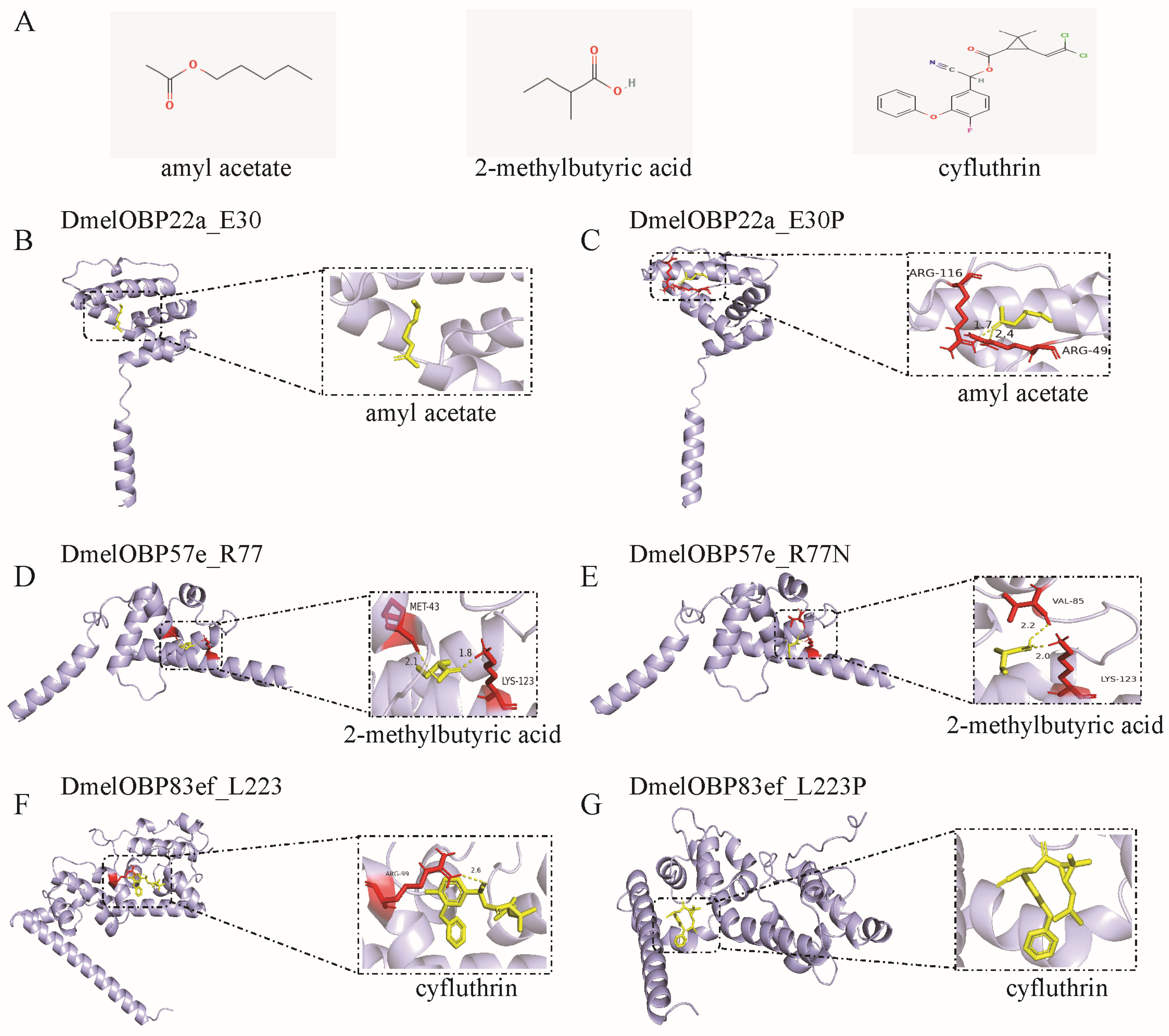 Biomolecules 16 00330 g008