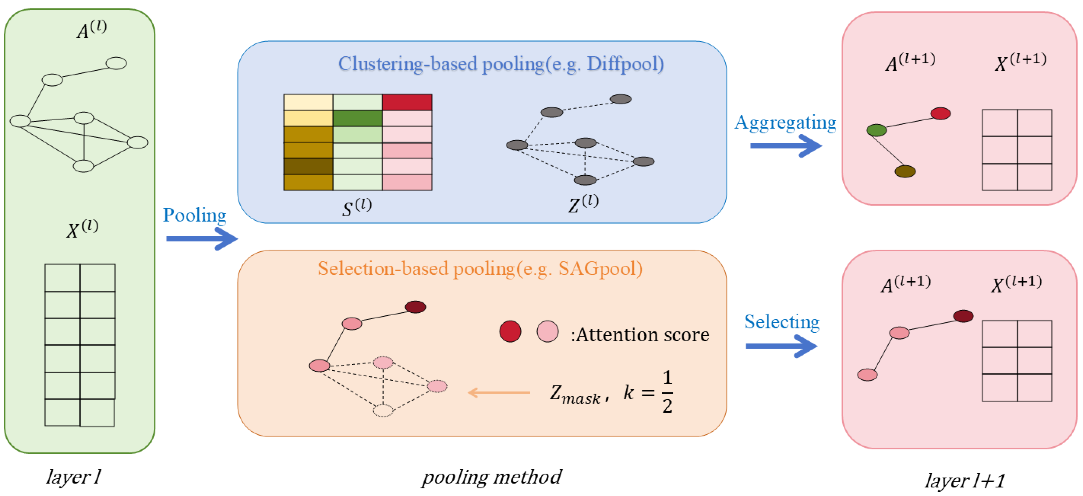 Biomolecules 16 00333 g007