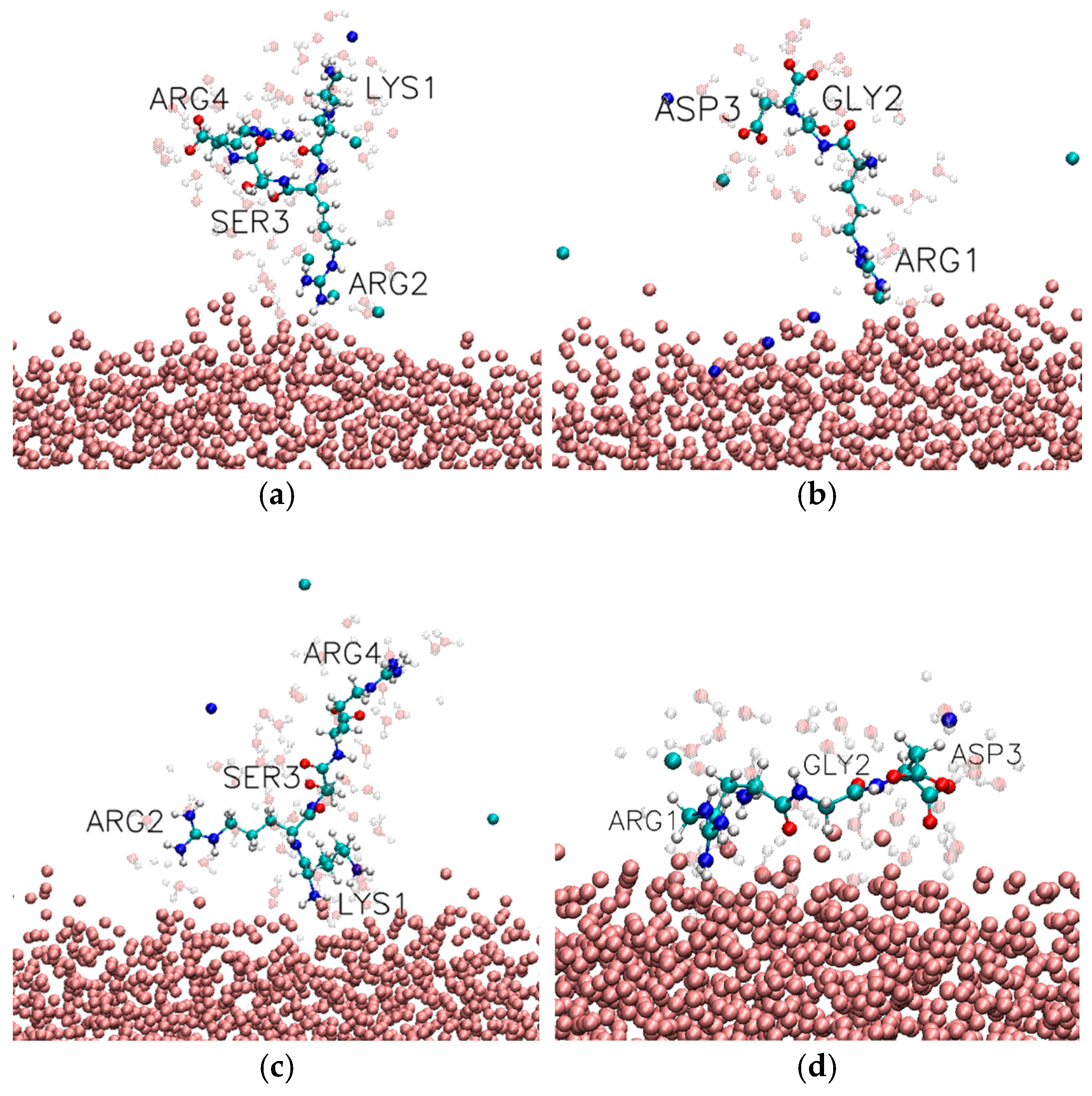 Biomolecules 16 00336 g005 Biomolecules 16 00336 g005