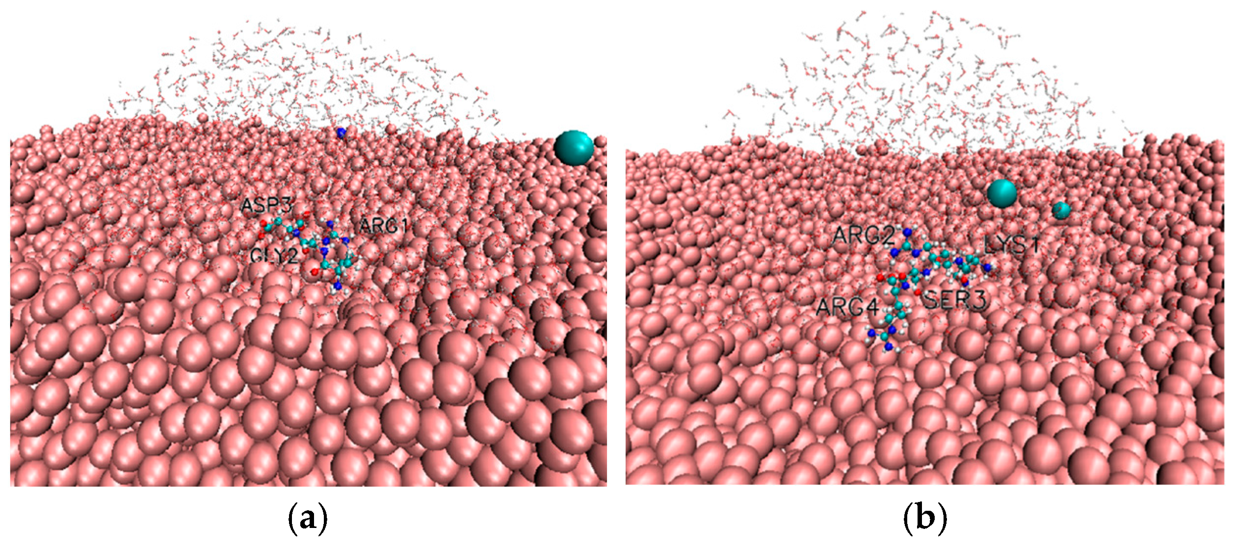 Biomolecules 16 00336 g006 Biomolecules 16 00336 g006