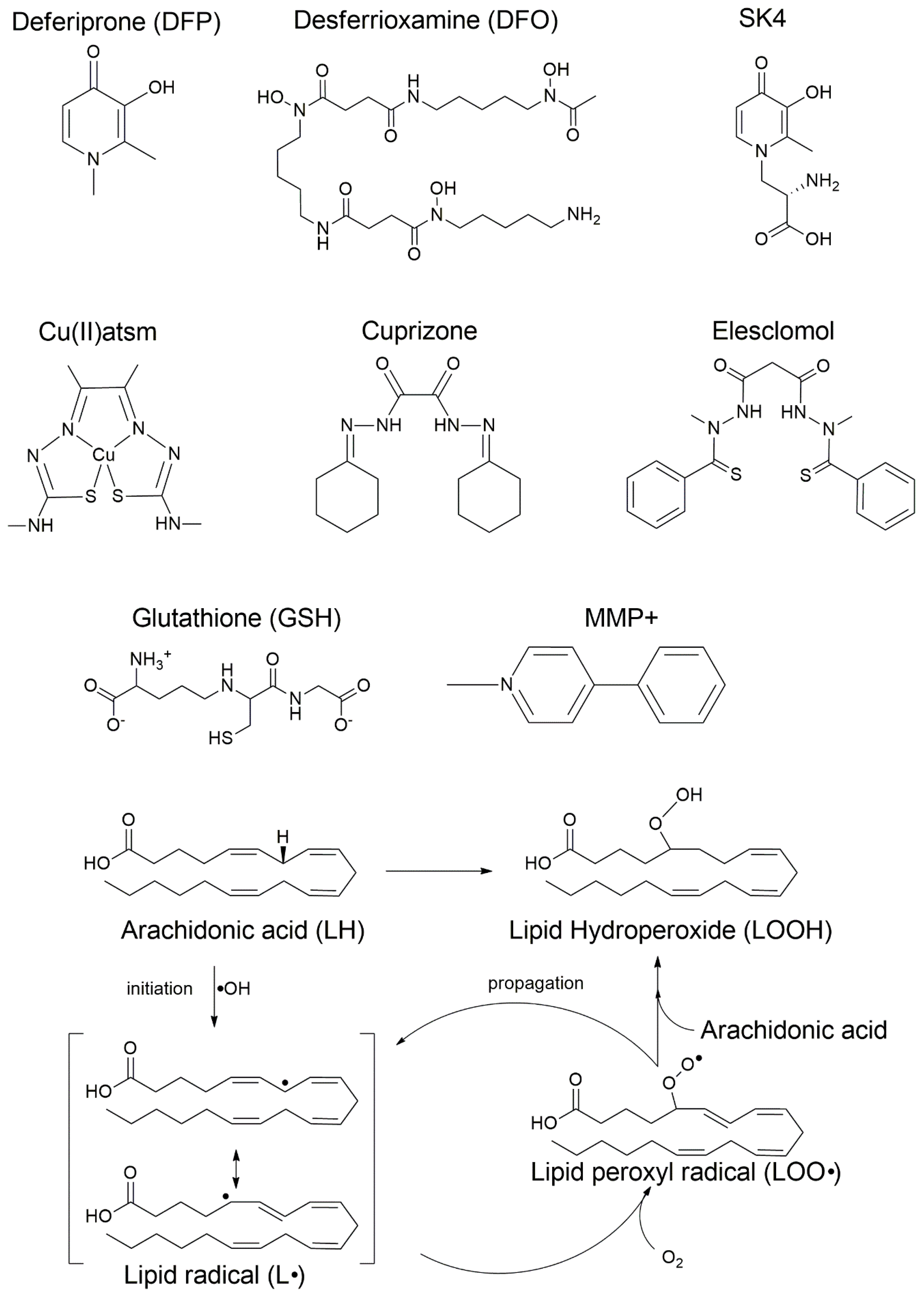 Biomolecules 16 00348 g002