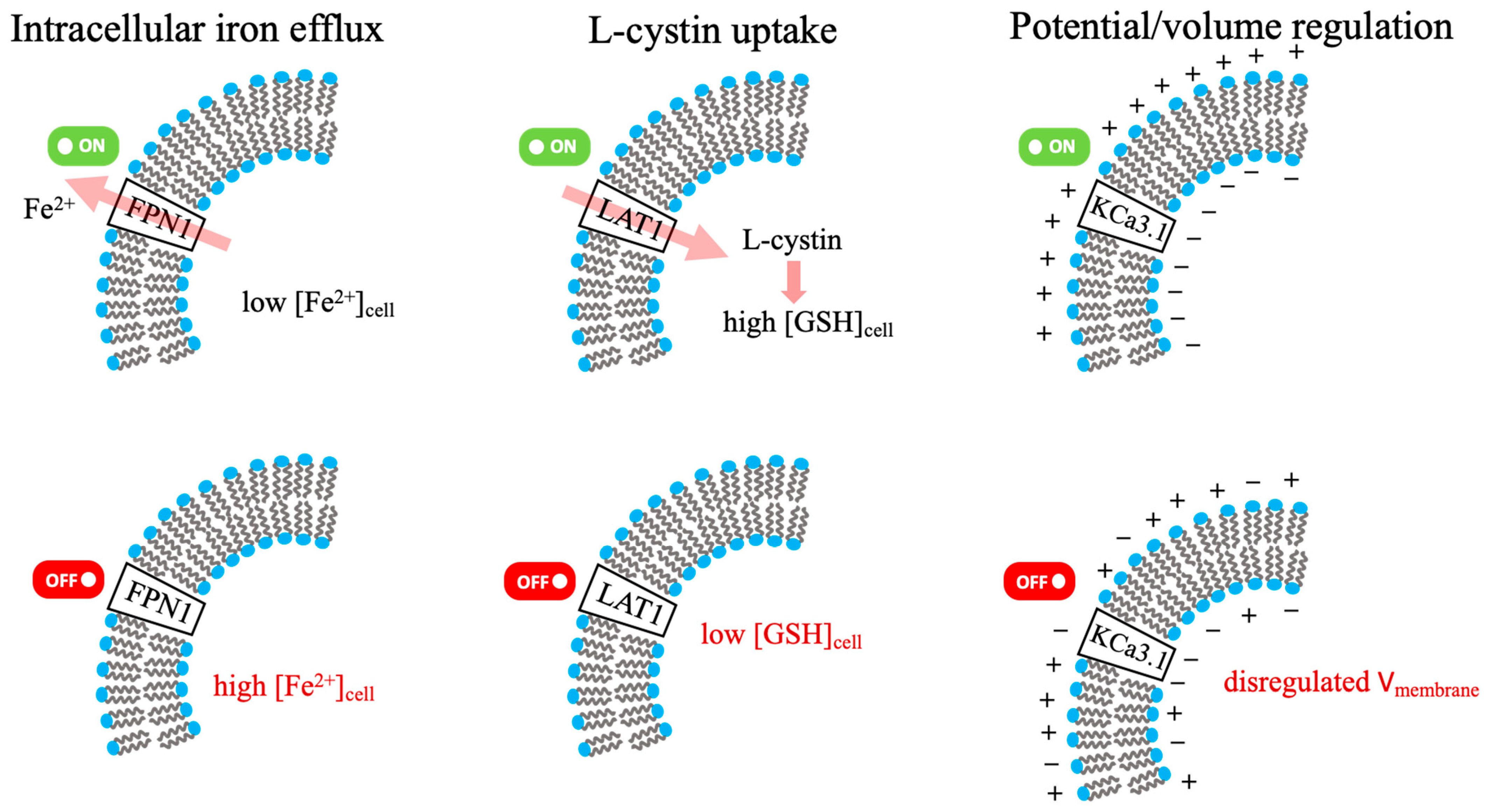 Biomolecules 16 00348 g003