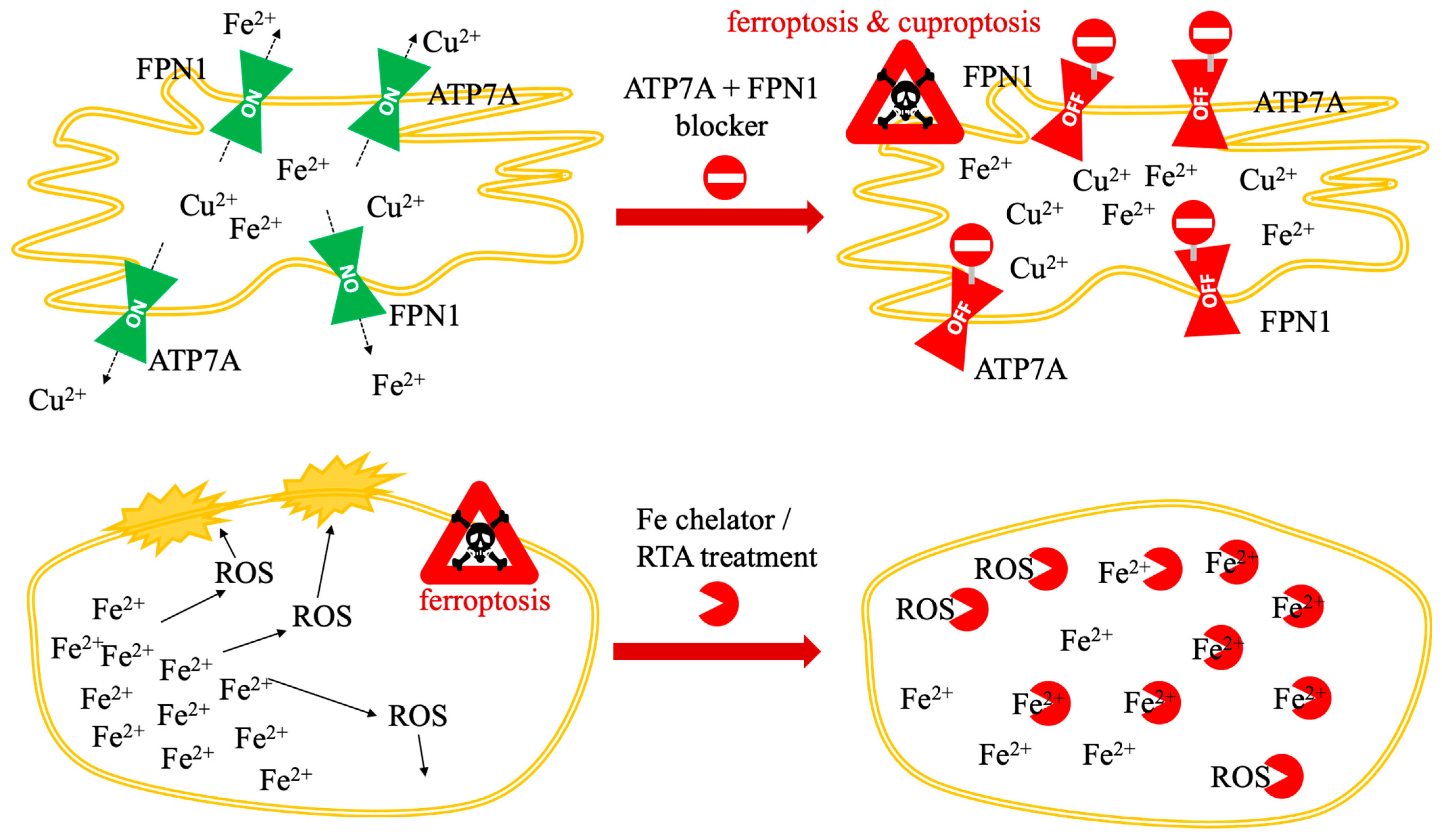 Biomolecules 16 00348 g005
