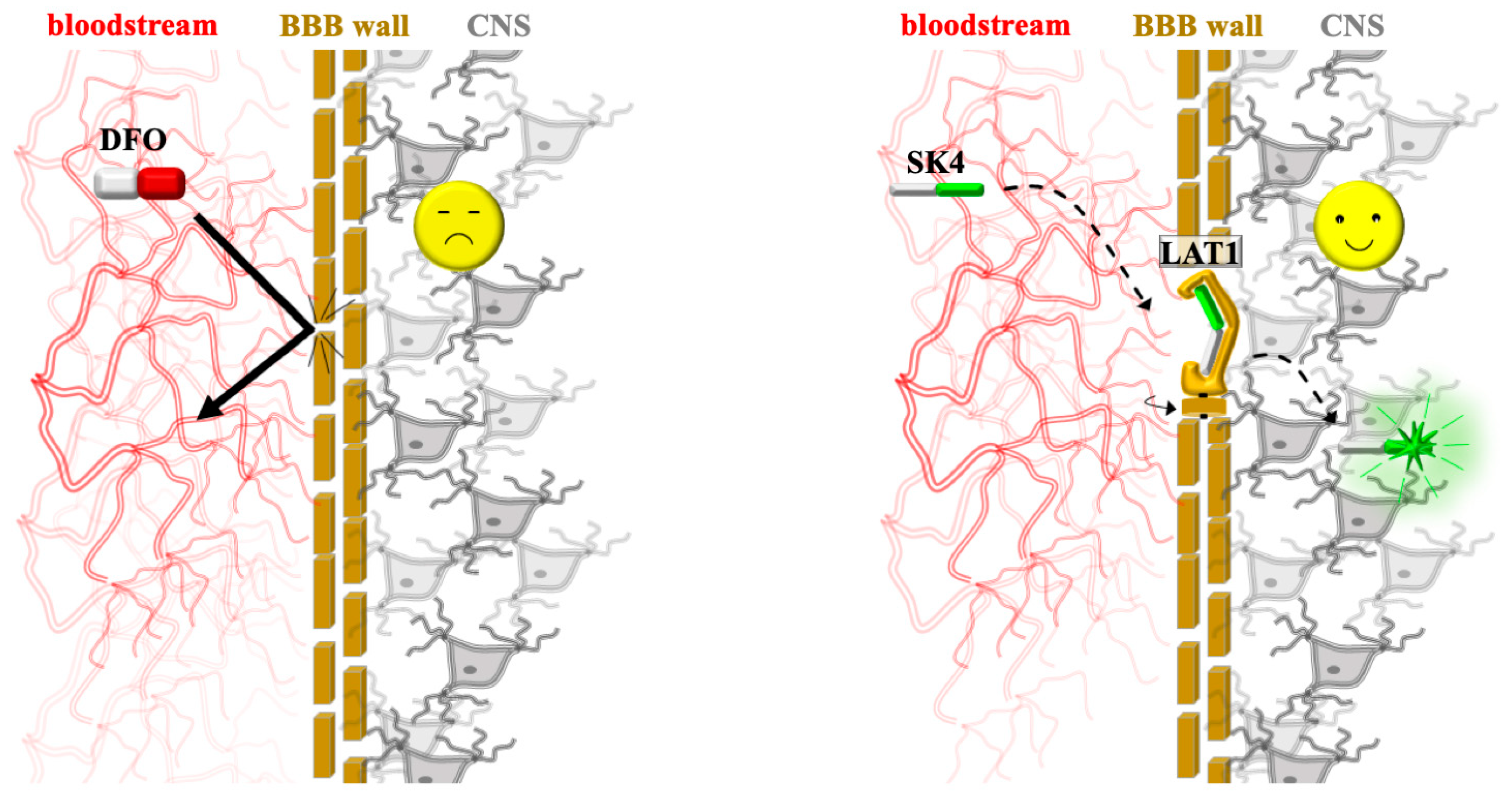 Biomolecules 16 00348 g006