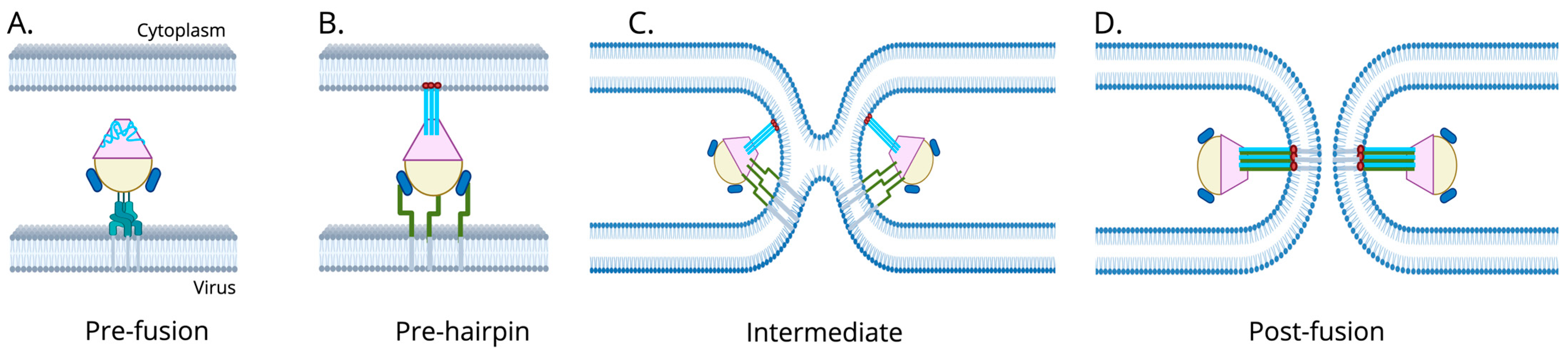 Biomolecules 16 00351 g002 Biomolecules 16 00351 g002