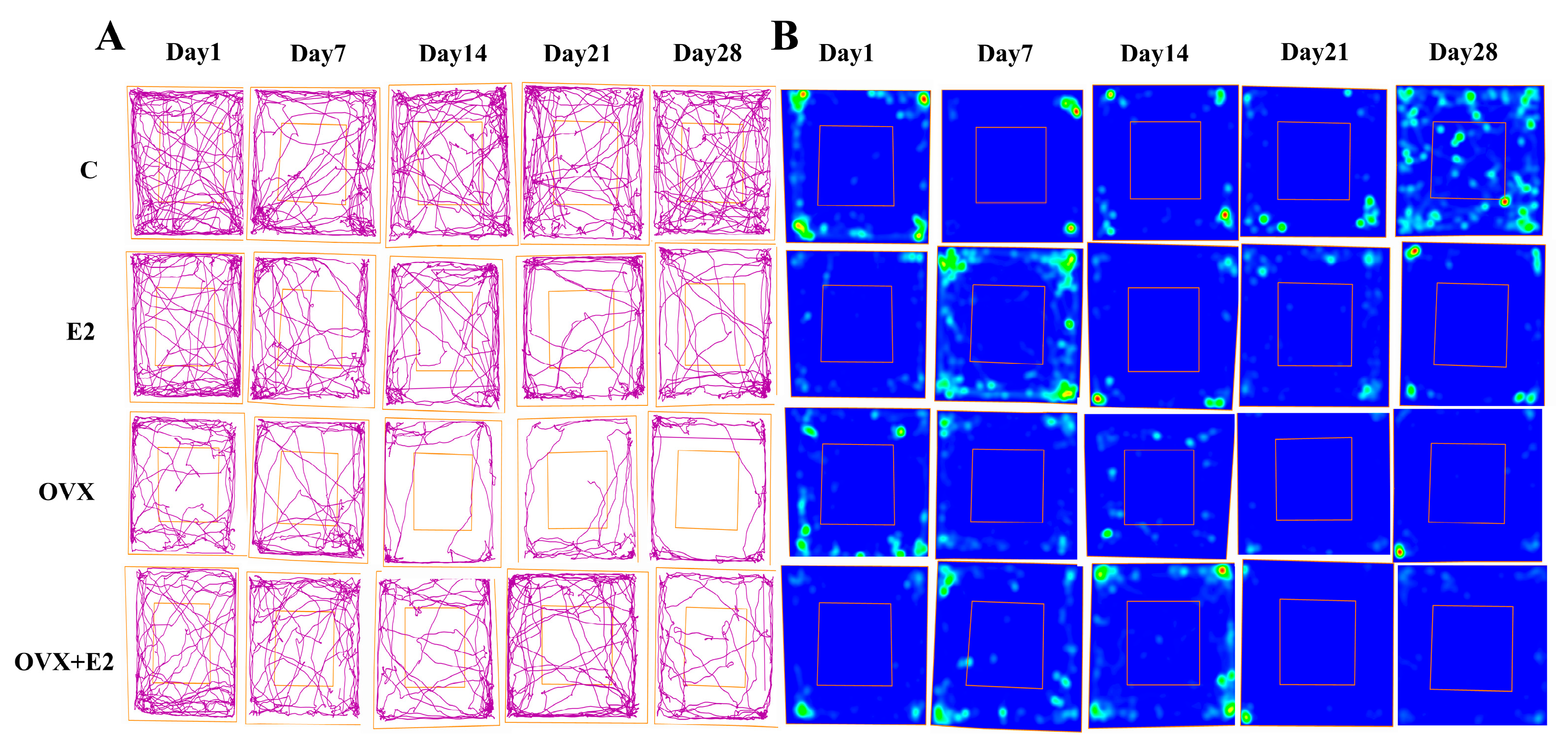 Biomolecules 16 00354 g003 Biomolecules 16 00354 g003