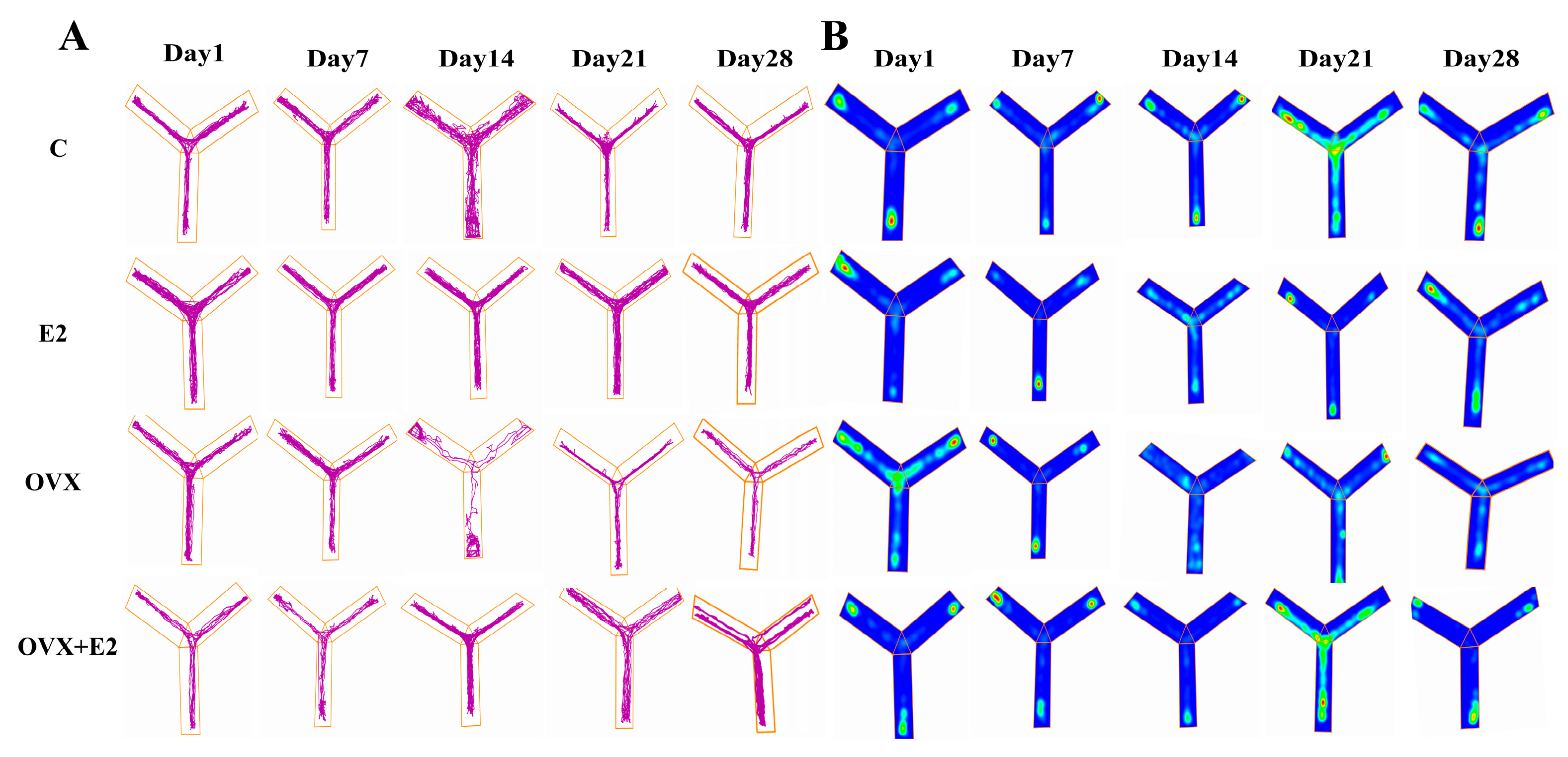 Biomolecules 16 00354 g004 Biomolecules 16 00354 g004