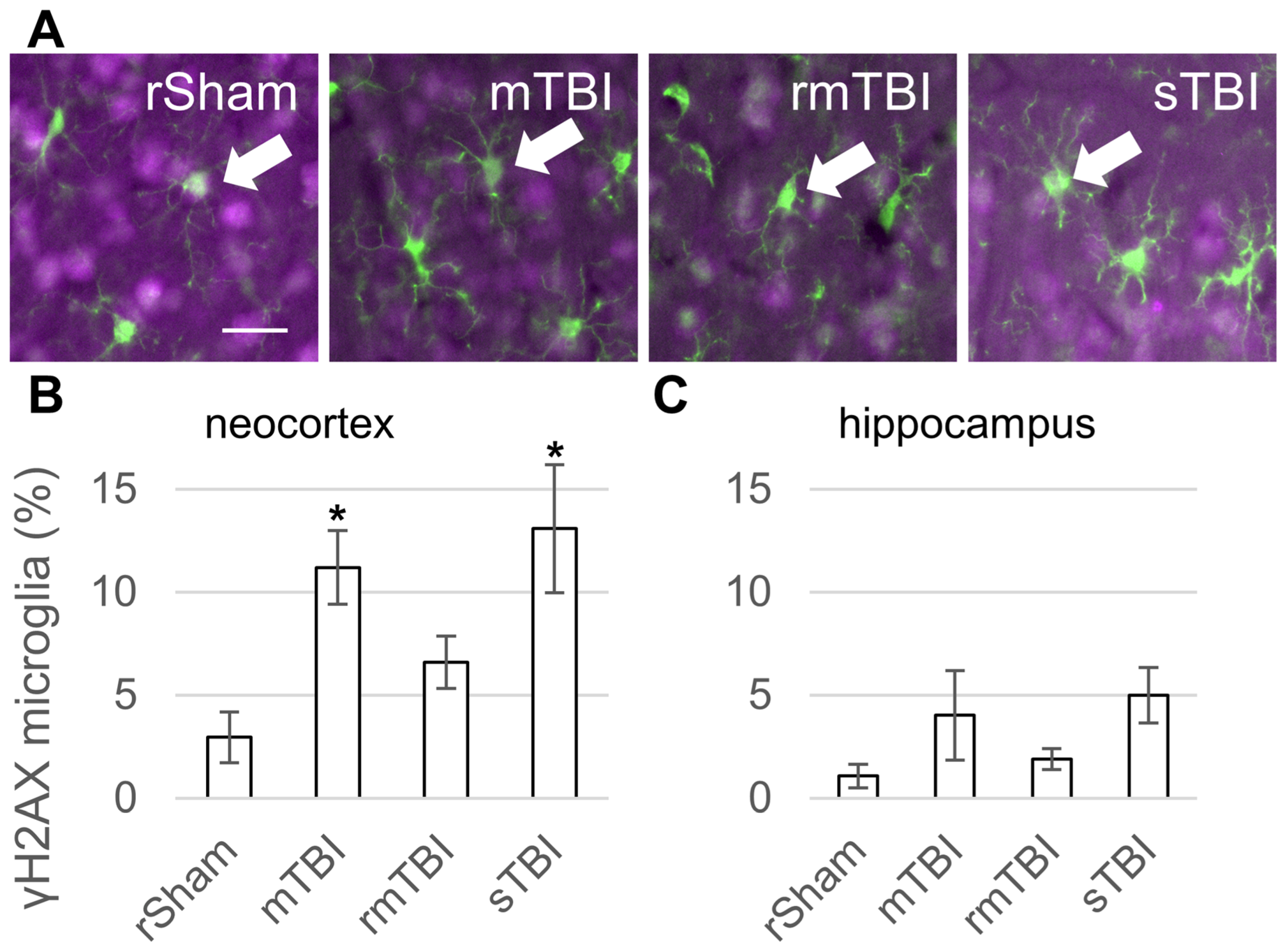 Biomolecules 16 00359 g002