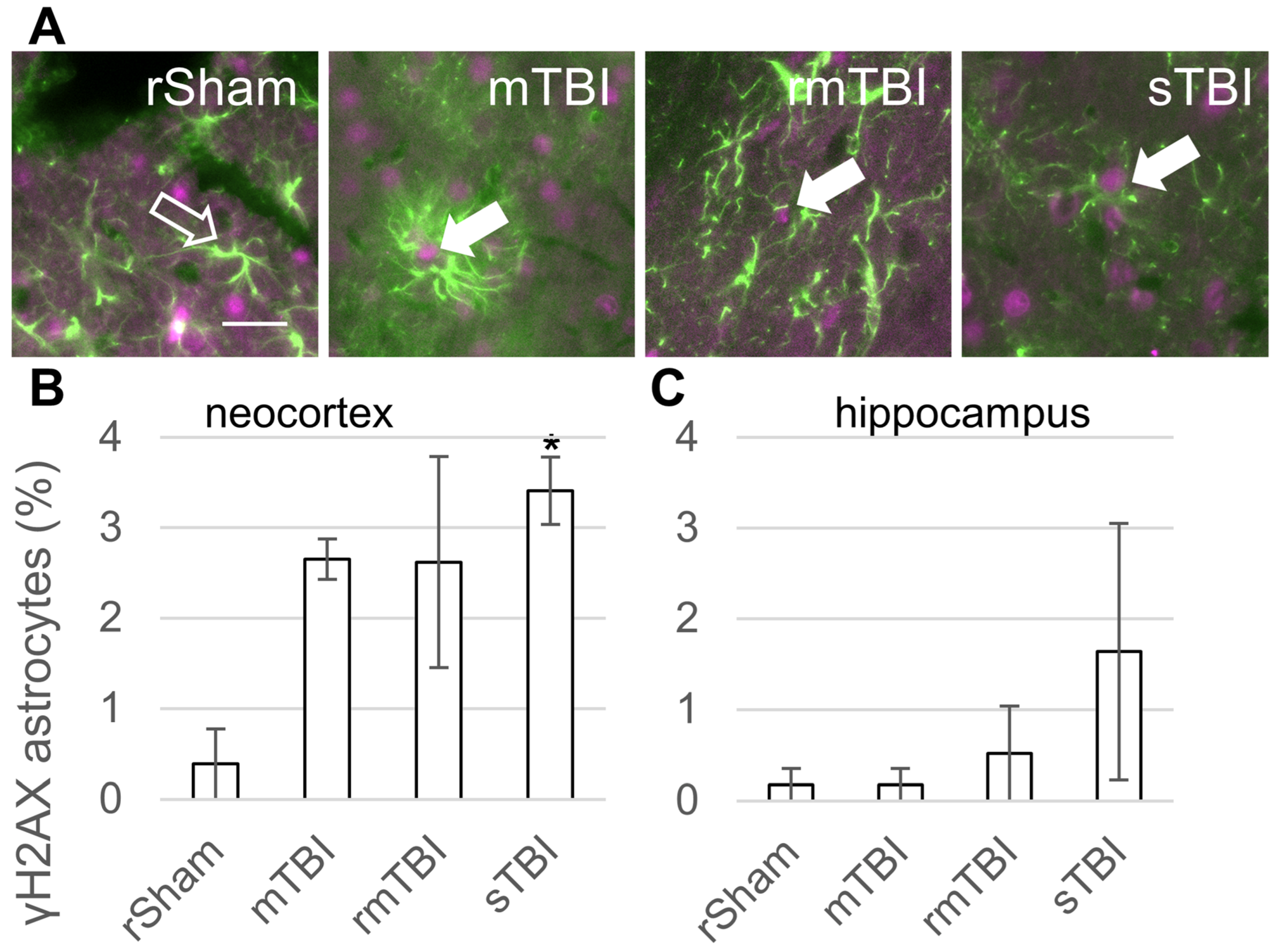 Biomolecules 16 00359 g003