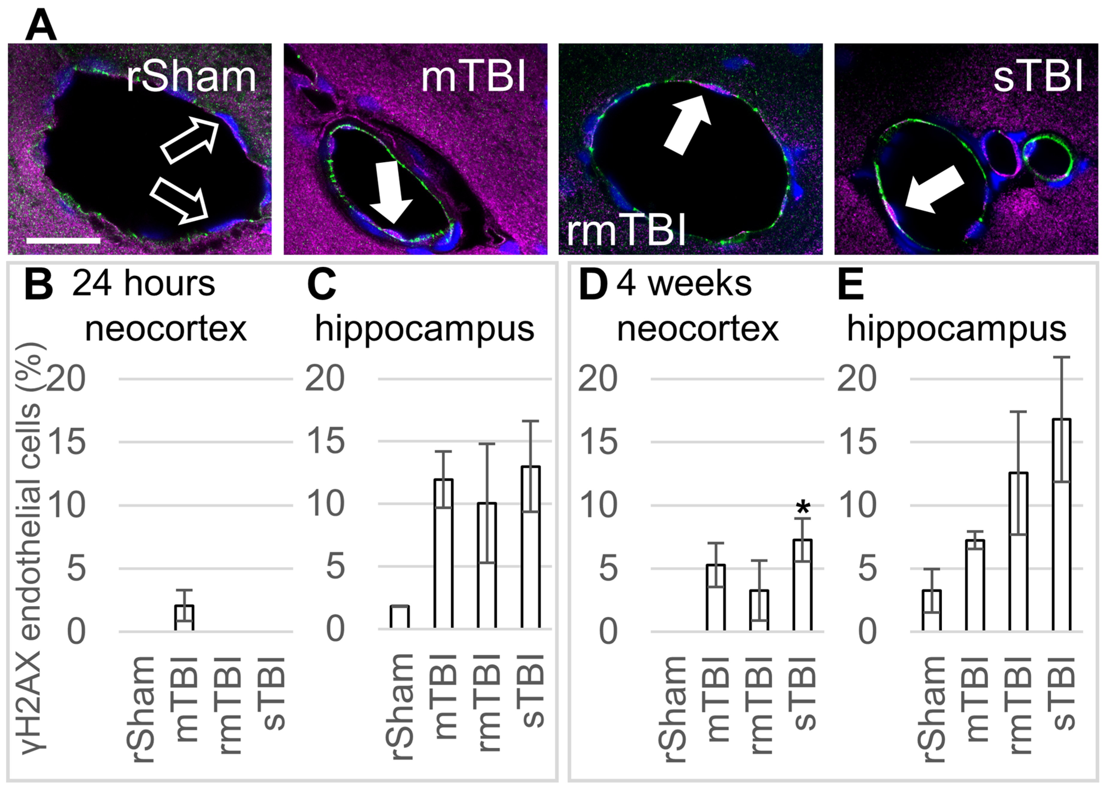 Biomolecules 16 00359 g004