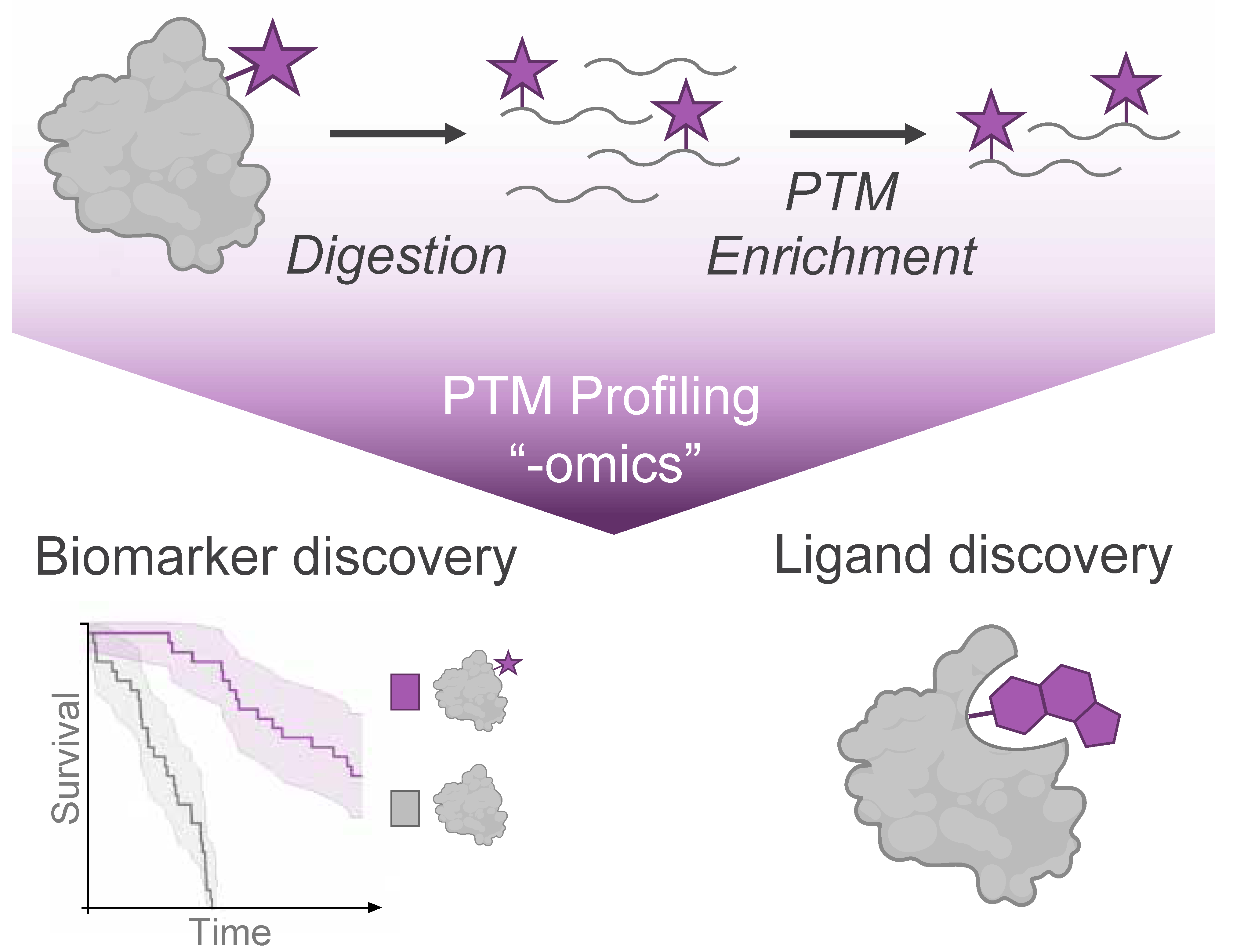 Biomolecules 16 00367 g001 Biomolecules 16 00367 g001