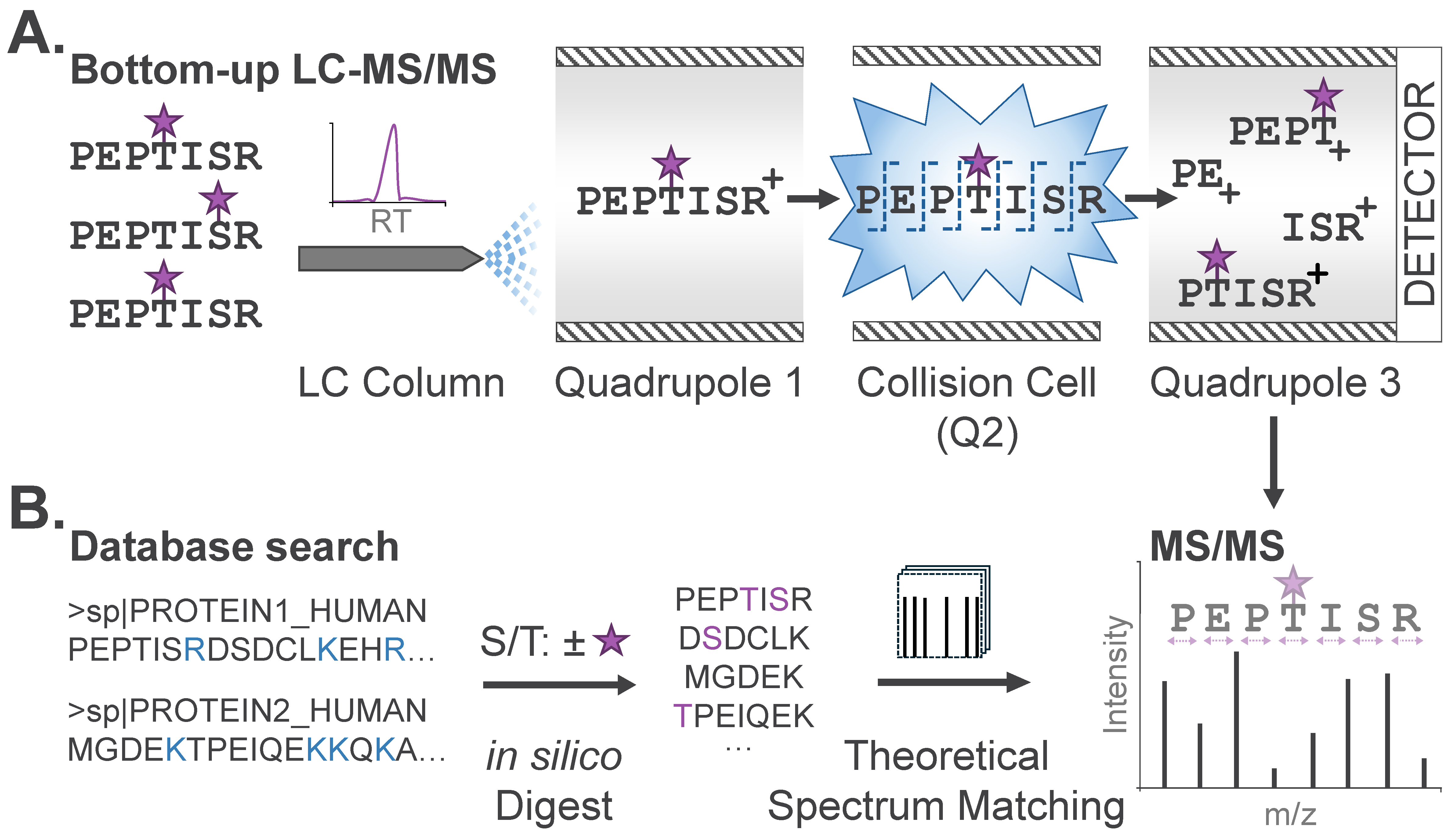 Biomolecules 16 00367 g002 Biomolecules 16 00367 g002
