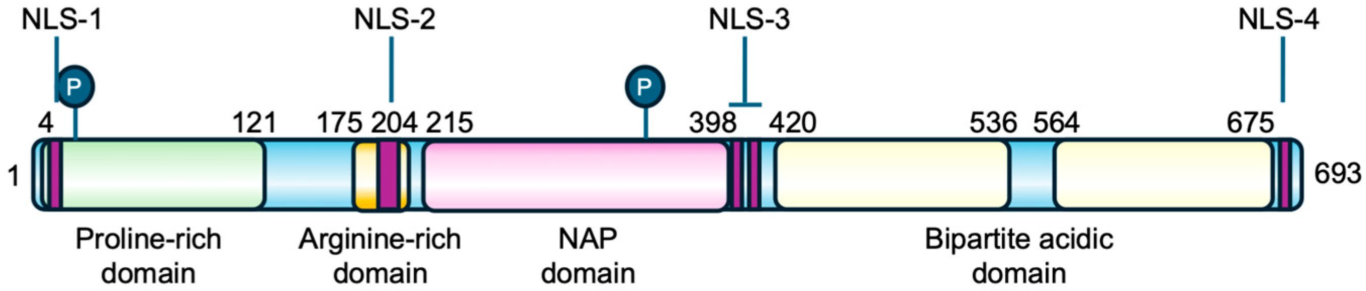 Biomolecules 16 00378 g002