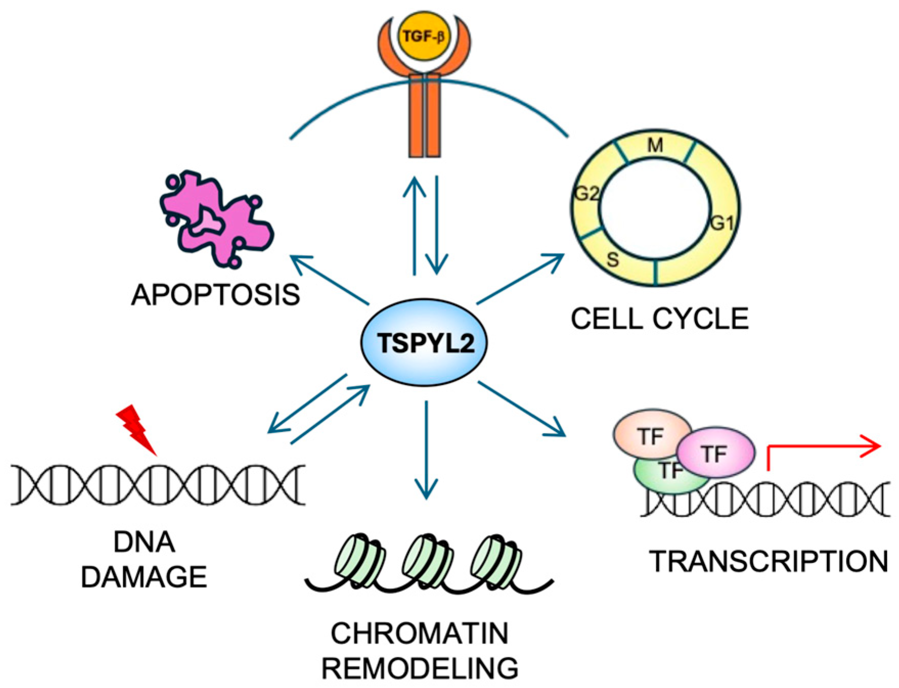 Biomolecules 16 00378 g003