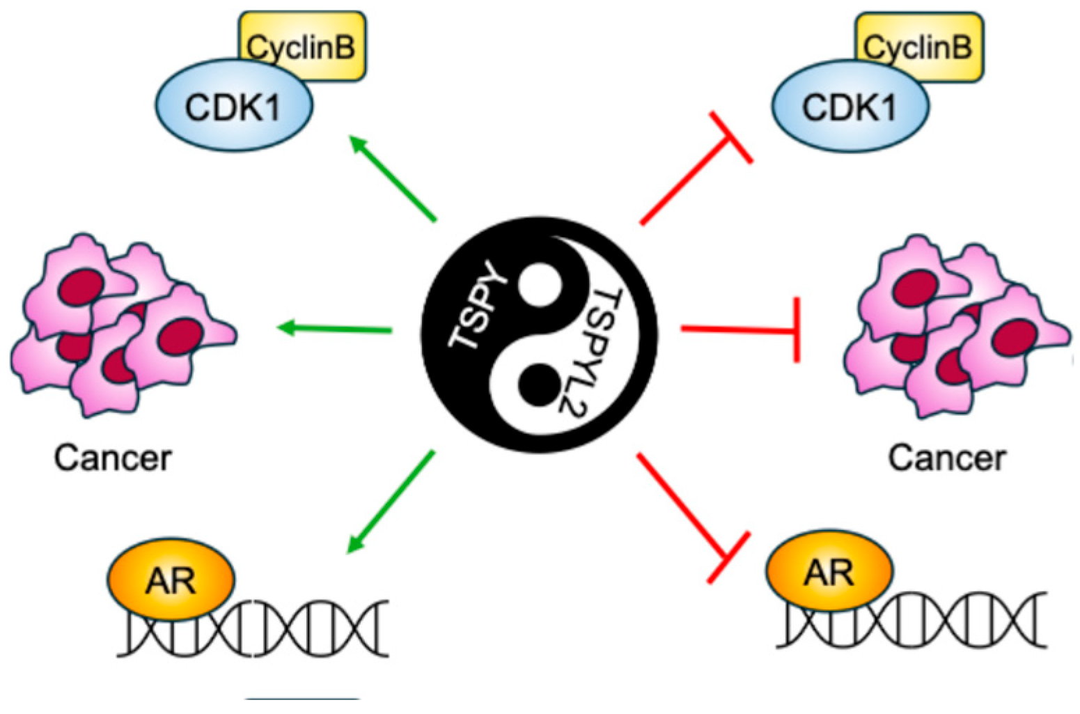 Biomolecules 16 00378 g004