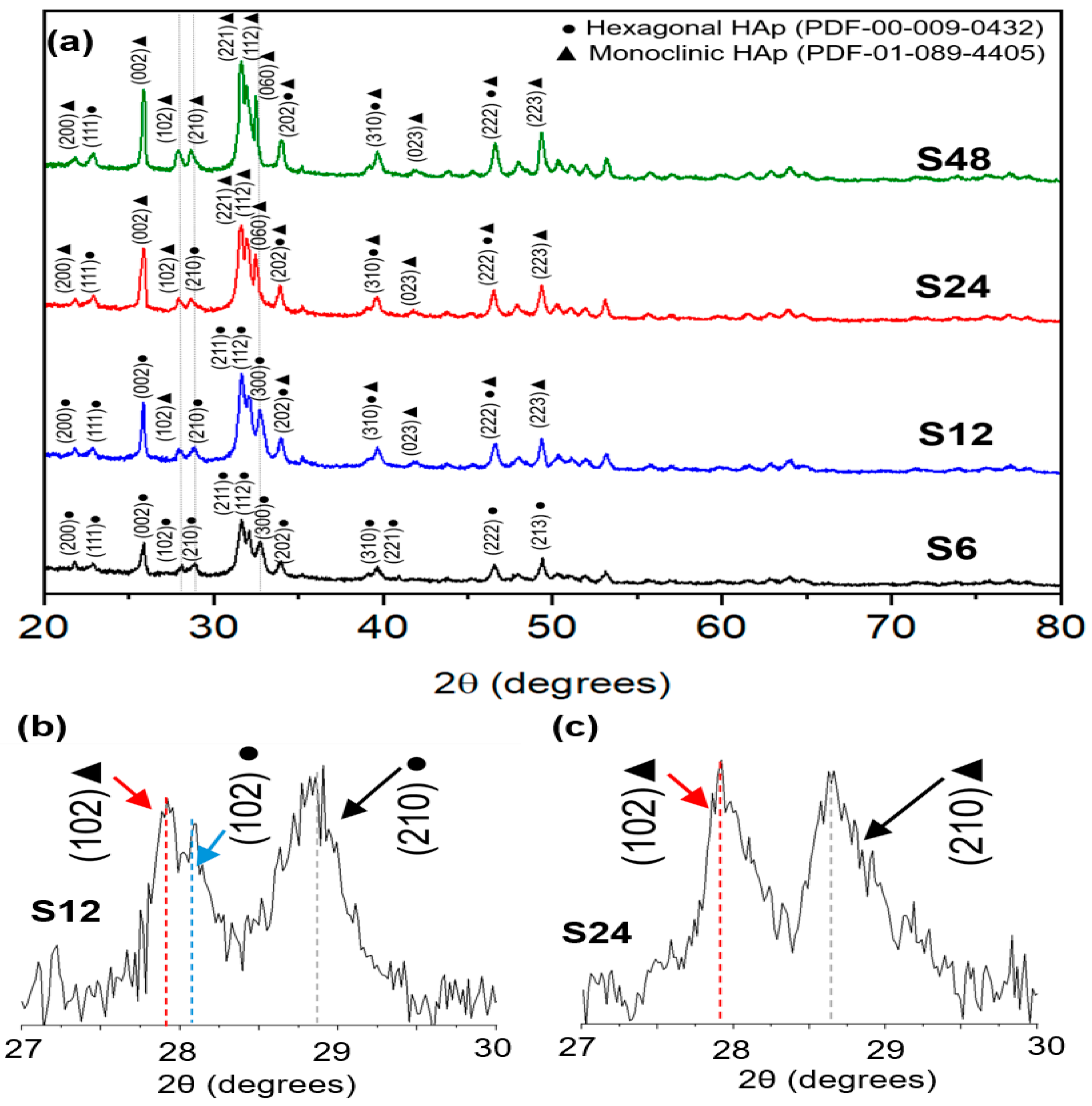 Biomolecules 16 00385 g001 Biomolecules 16 00385 g001
